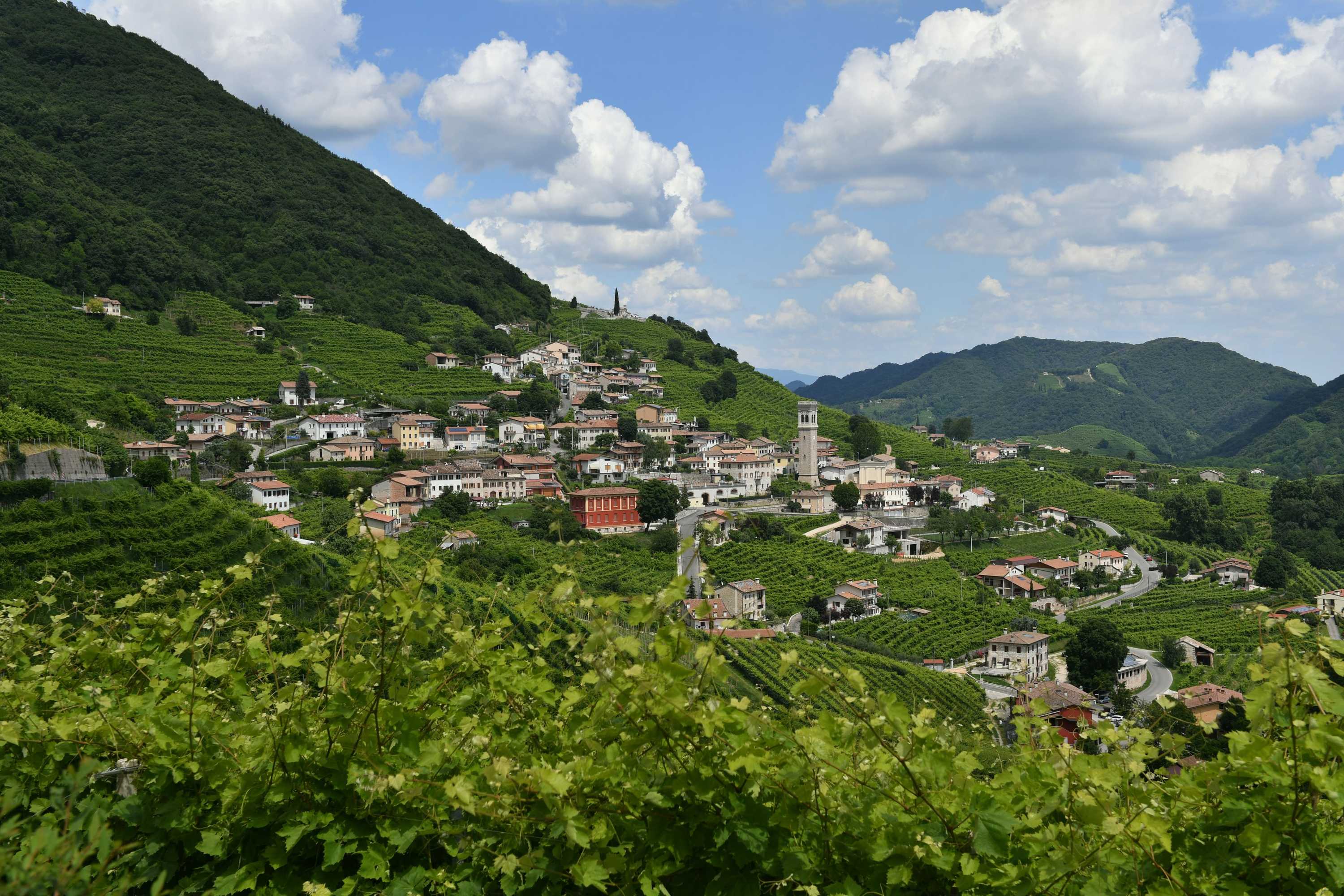 Gift card for Agriturismo Crodi Gift card for Agriturismo Crodi