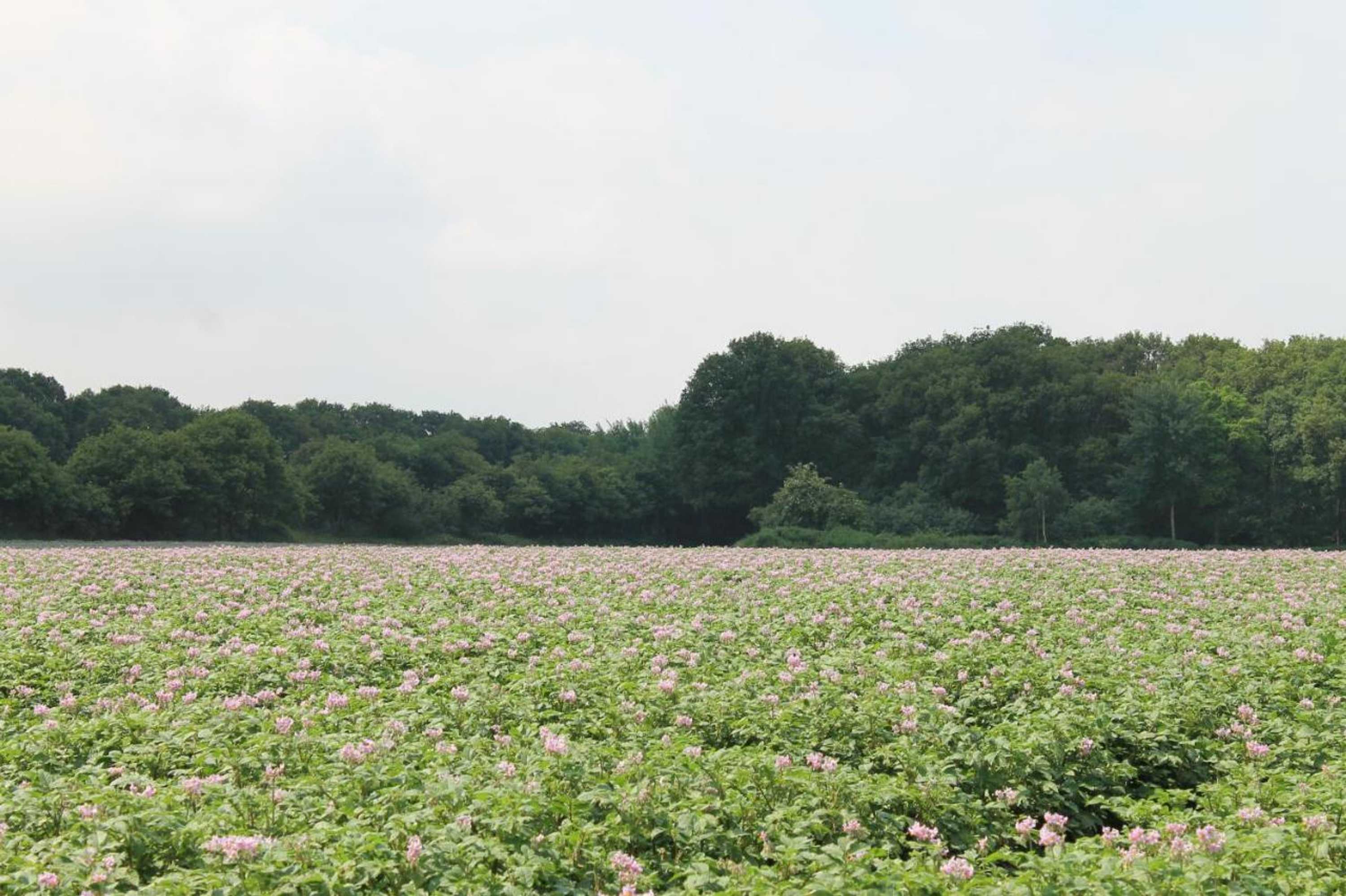 Gift card for Buitengewoon Overnachten