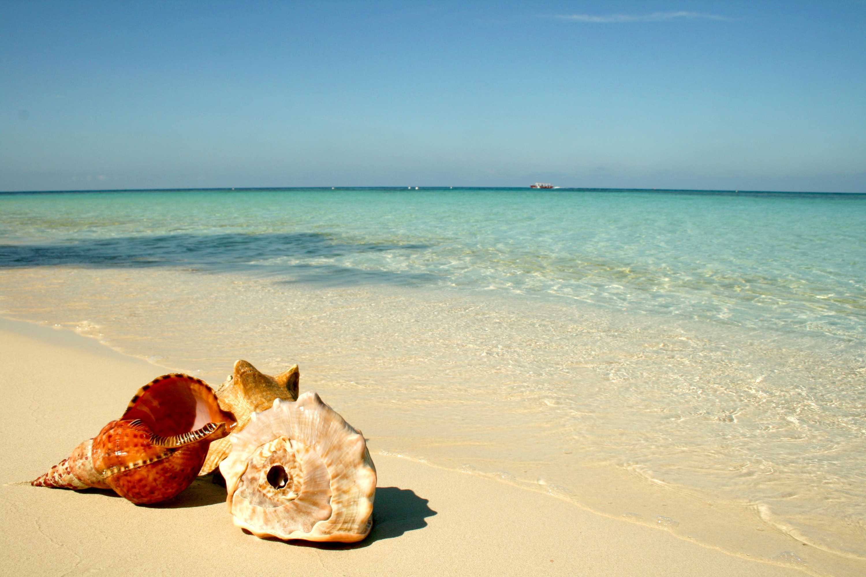 Gift card for Infinity Bay Spa & Beach Resort Gift card for Infinity Bay Spa & Beach Resort