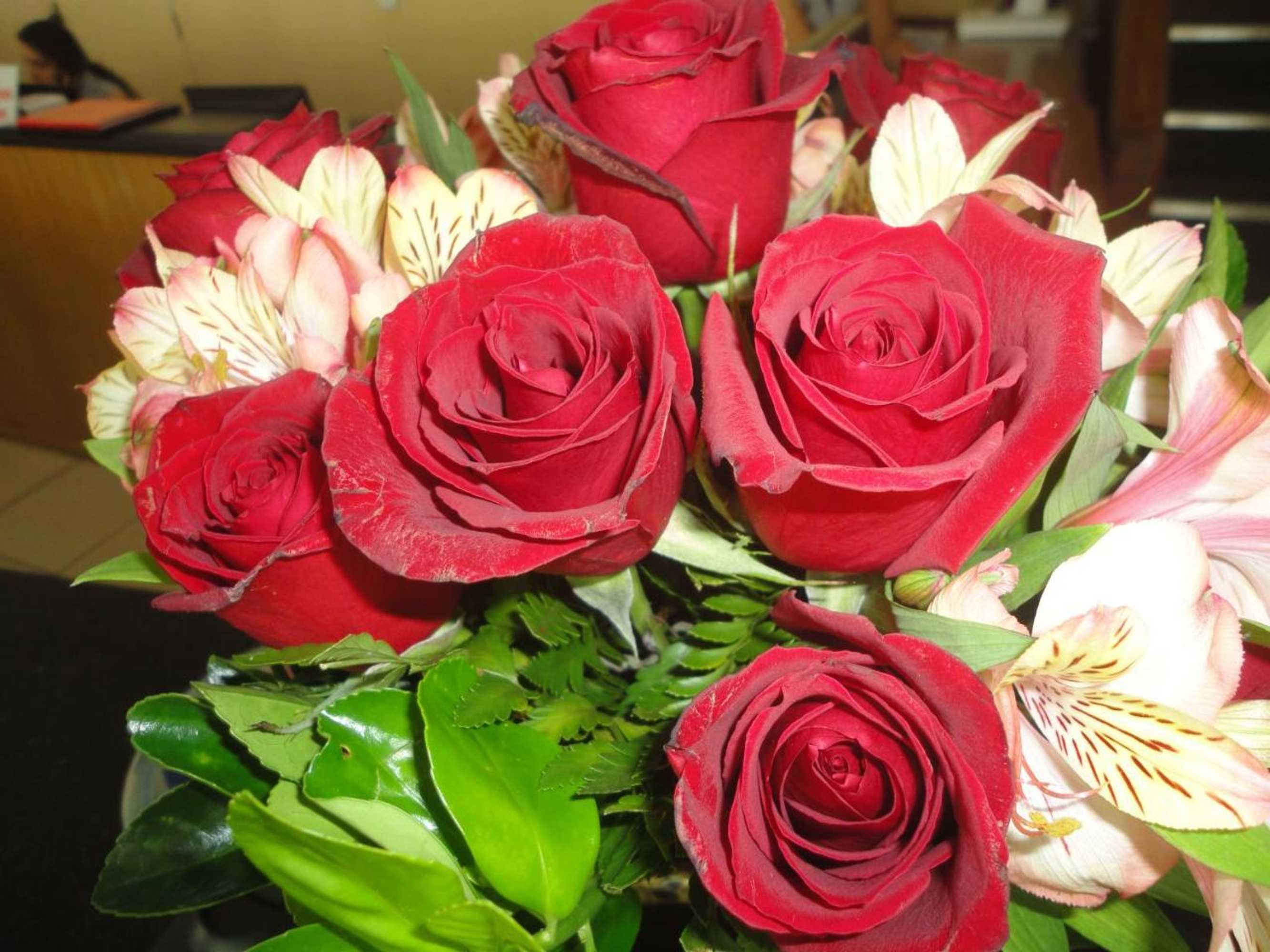 Gift card for Jóia Hotel