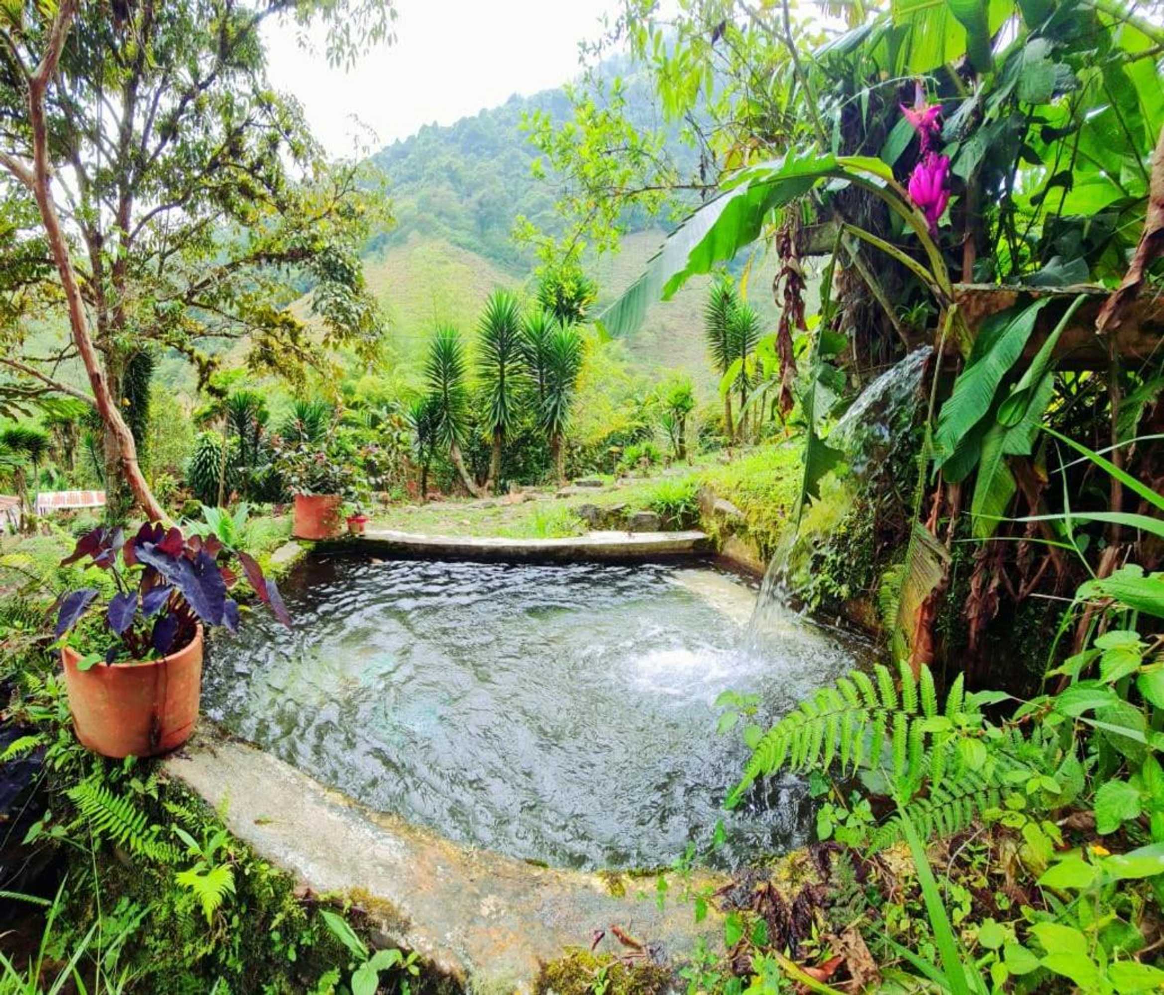 Gift card for Hospedaje Pance Arí Munani Reserva Natural