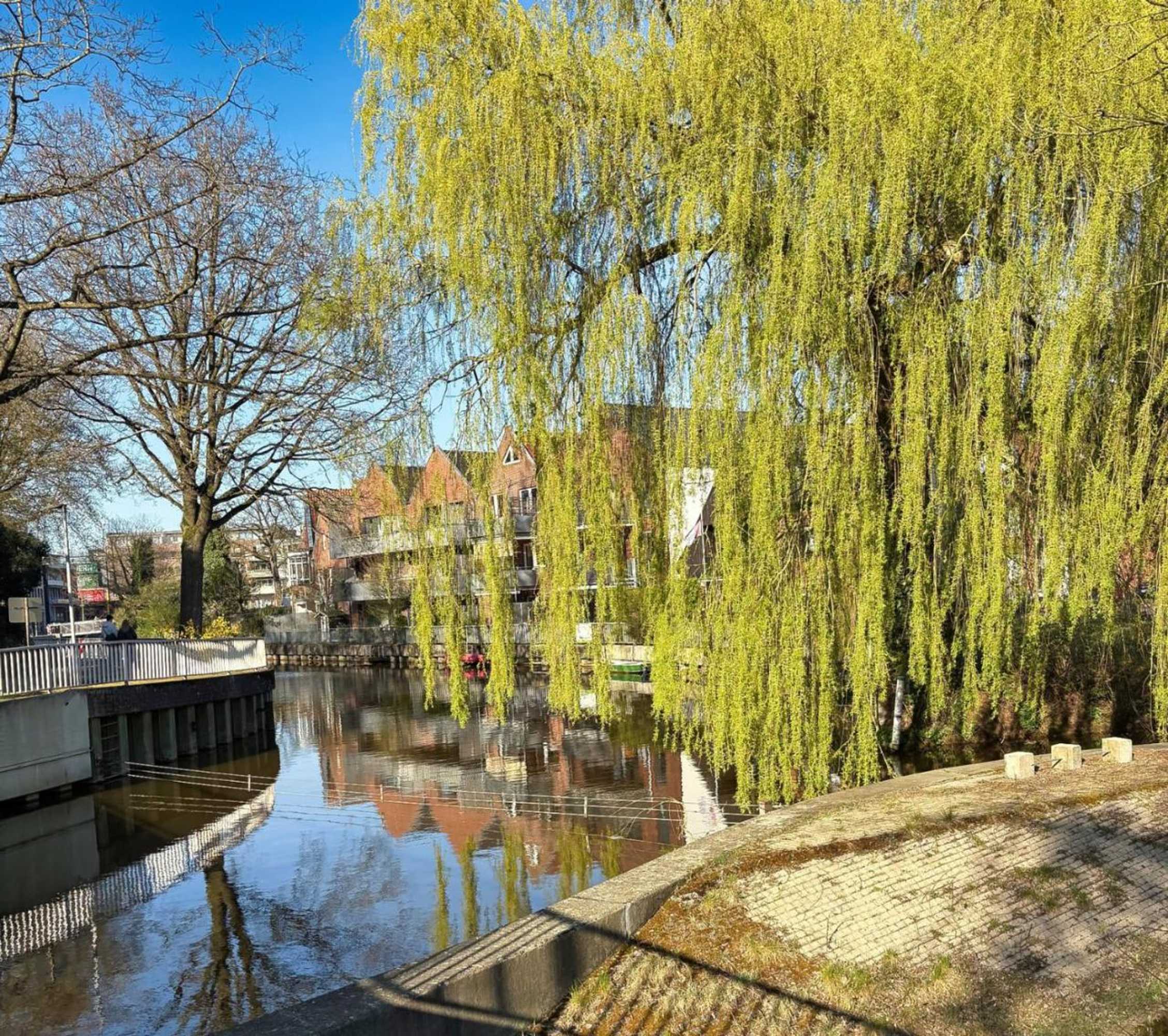 Gift card for Nino-Boardinghouse 2