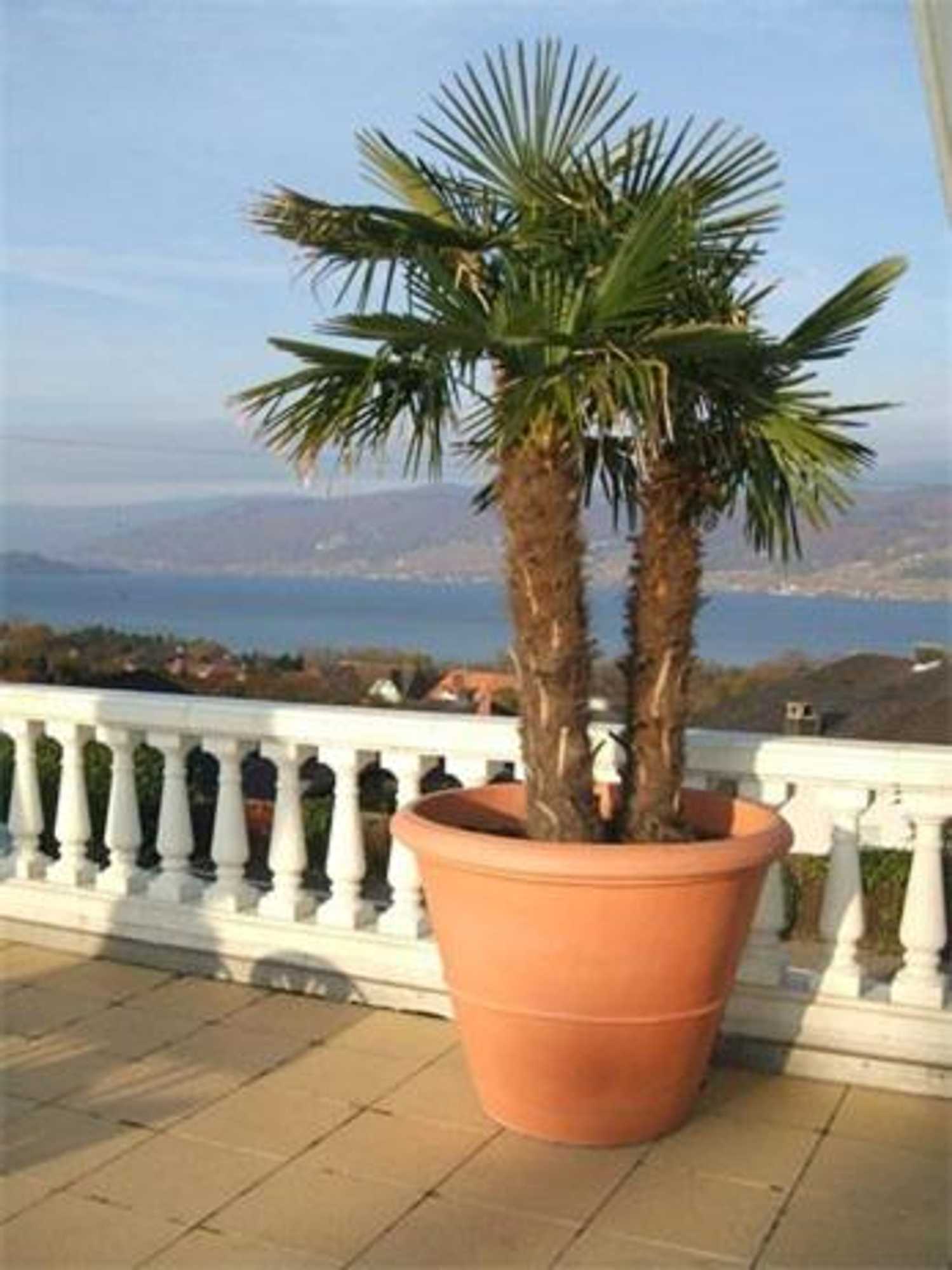 Gift card for Restaurant-Hotel Seeblick