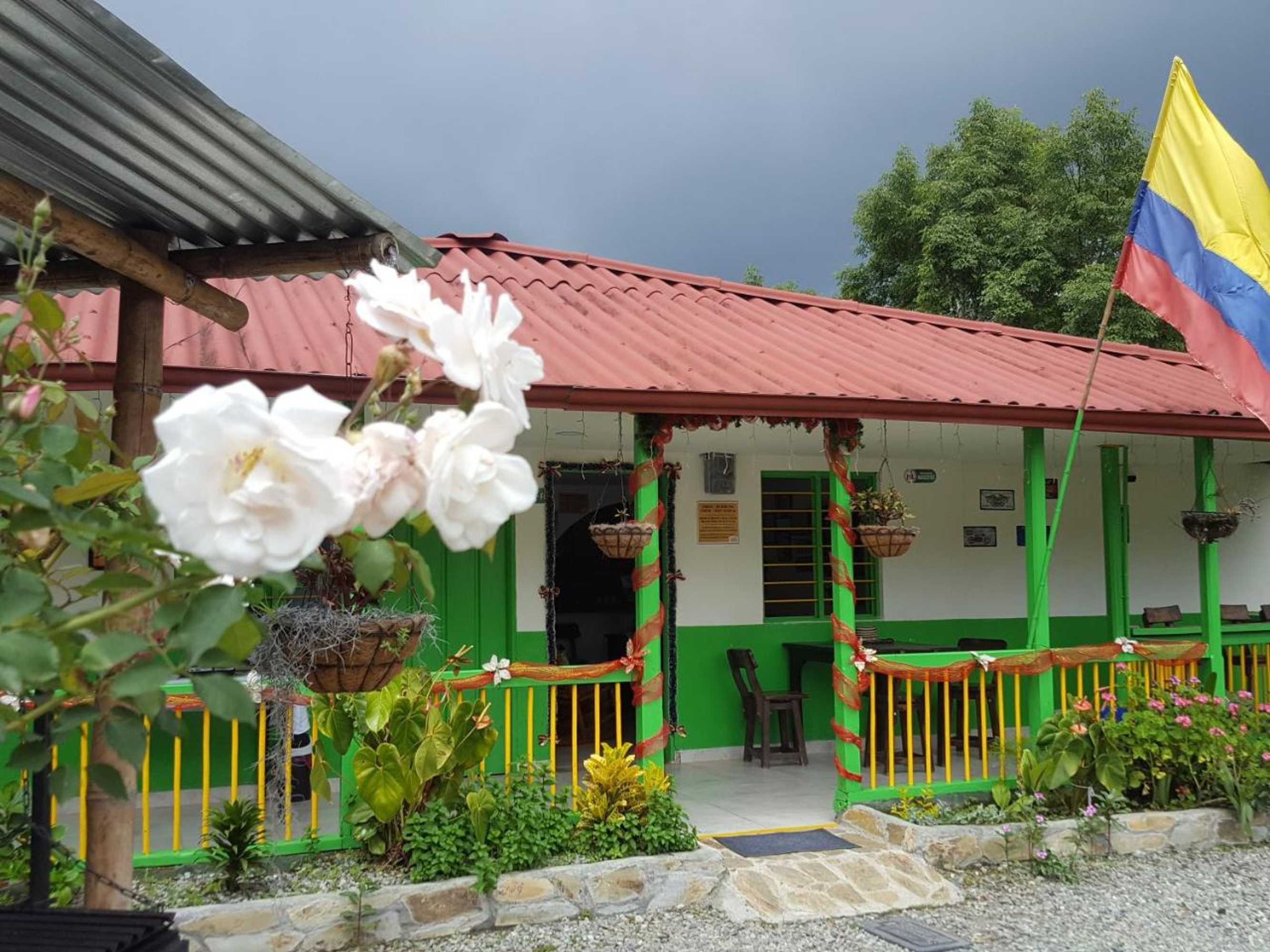 Gift card for Hostal y Camping Los Girasoles