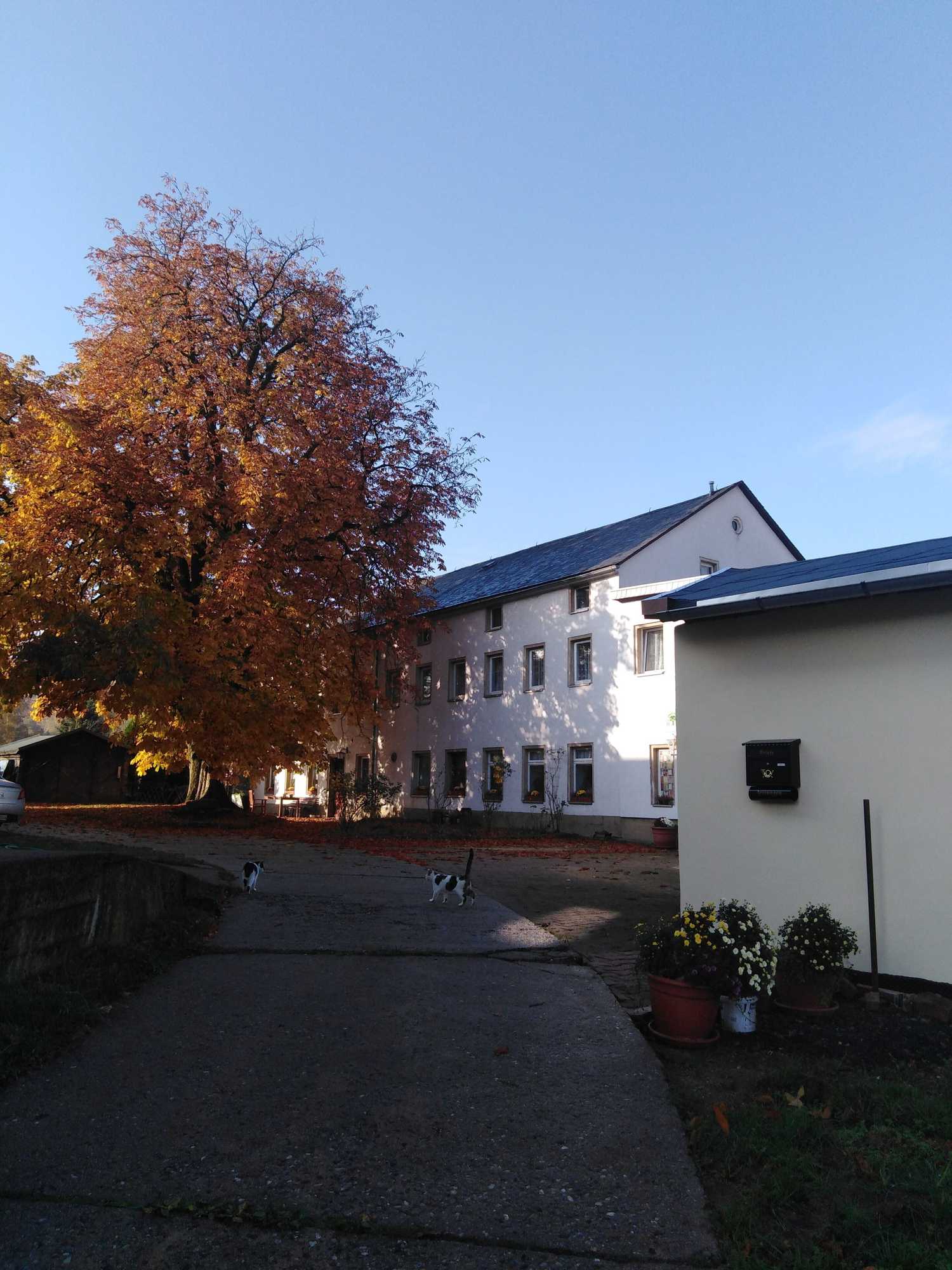 Gift card for Landpension Haupt