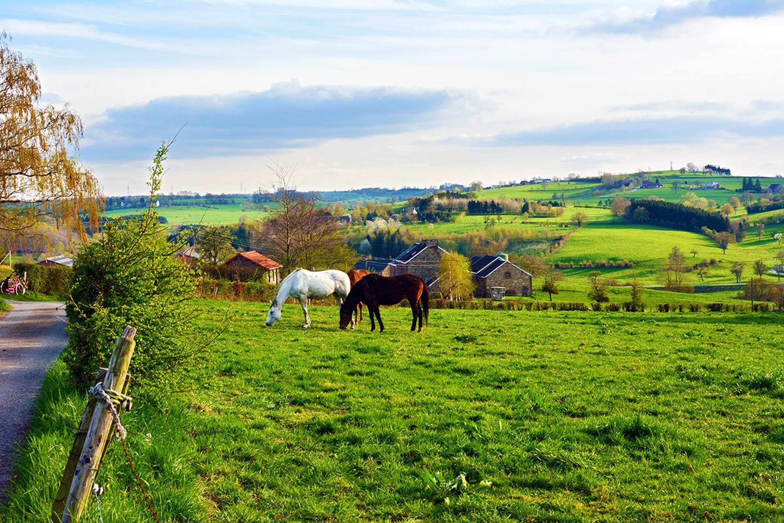 Gift card for Ô Macra