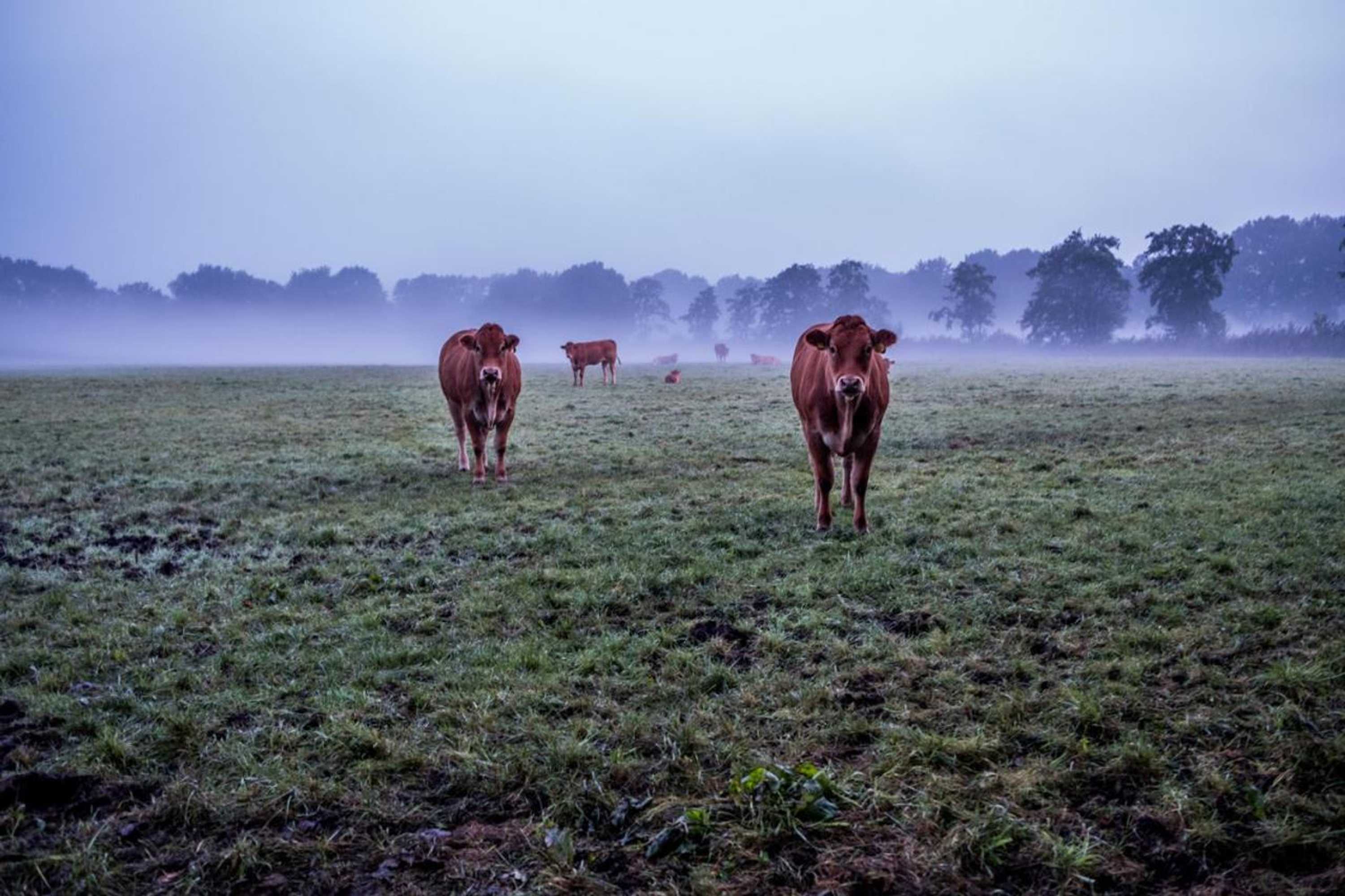 Gift card for Het Findament Tiny House