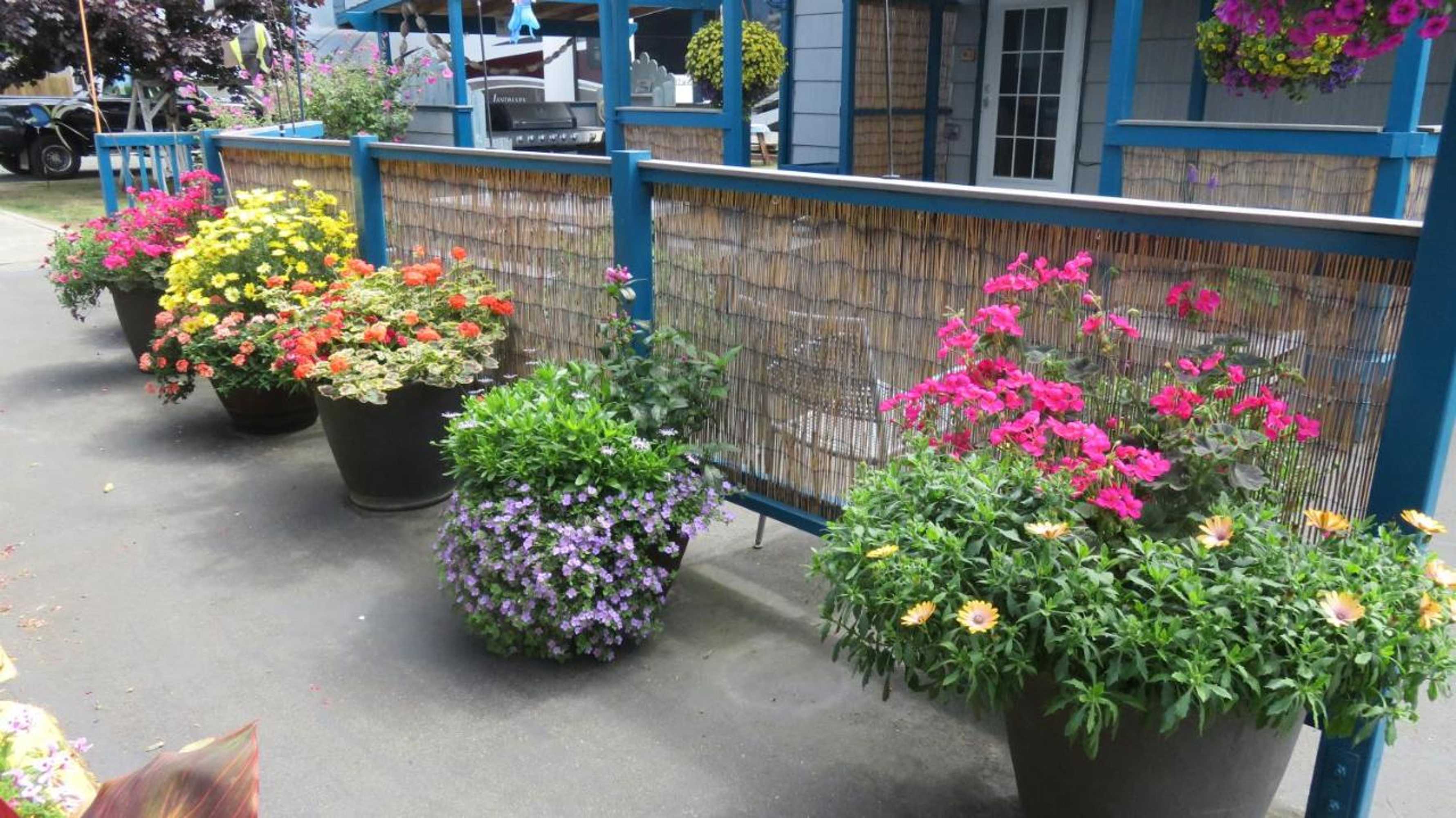 Gift card for Mermaid Inn