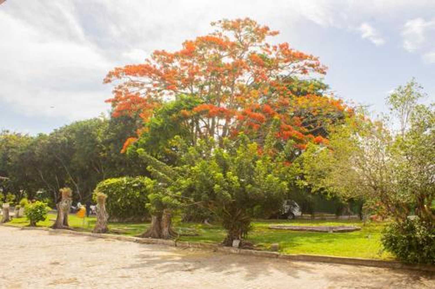 Gift card for Hotel Parque do Sol