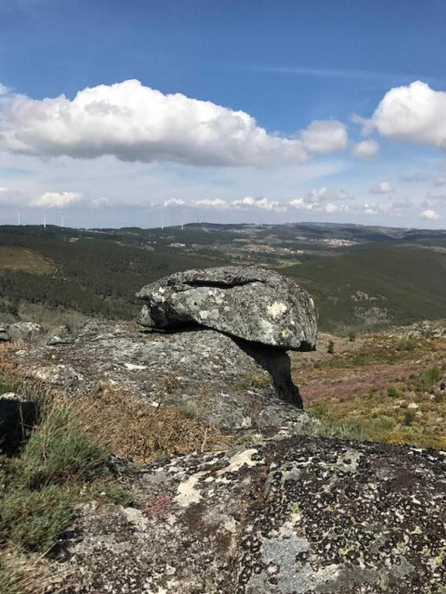 Gift card for Quinchoso Dos Bentos