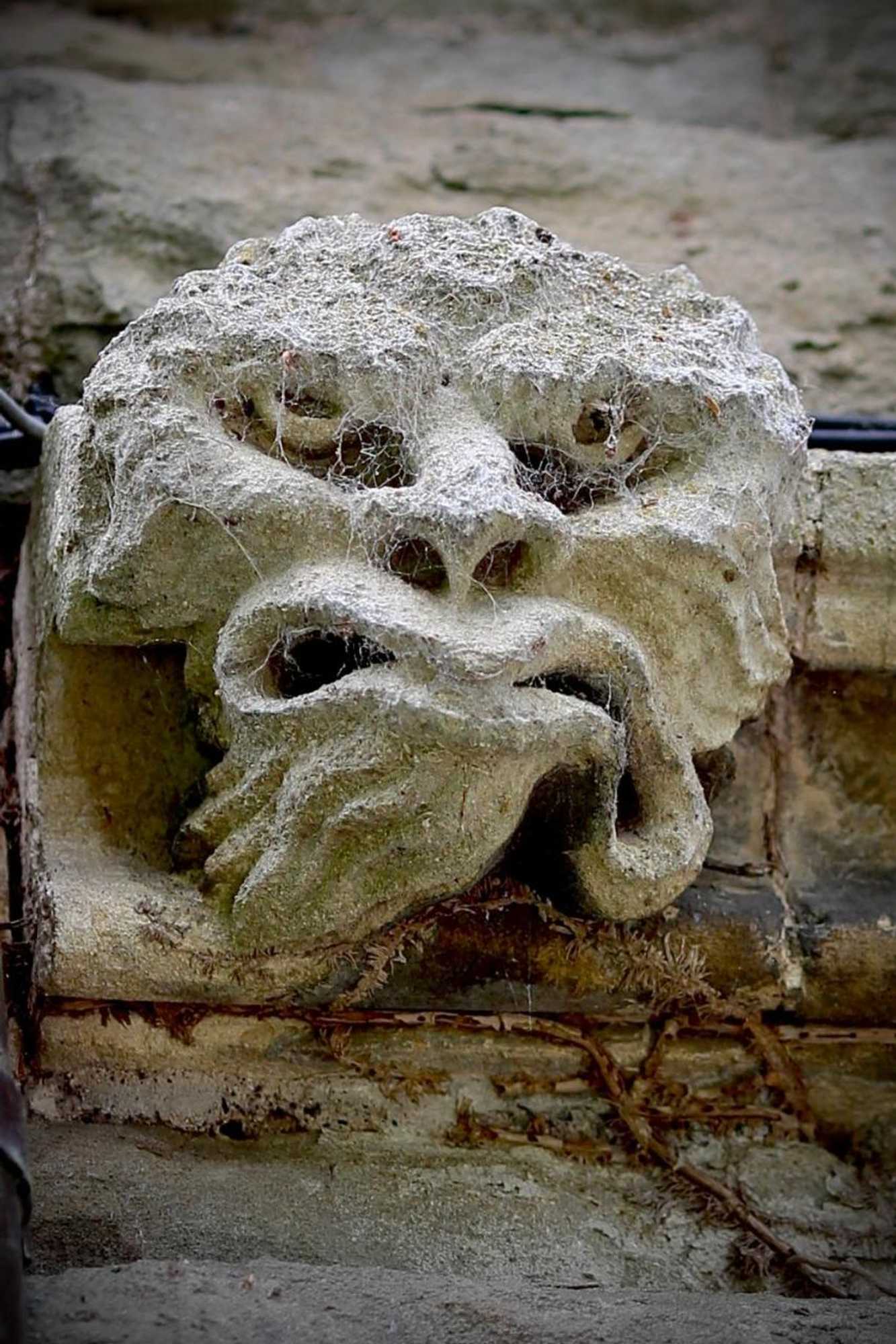 Gift card for Llangattock Park House