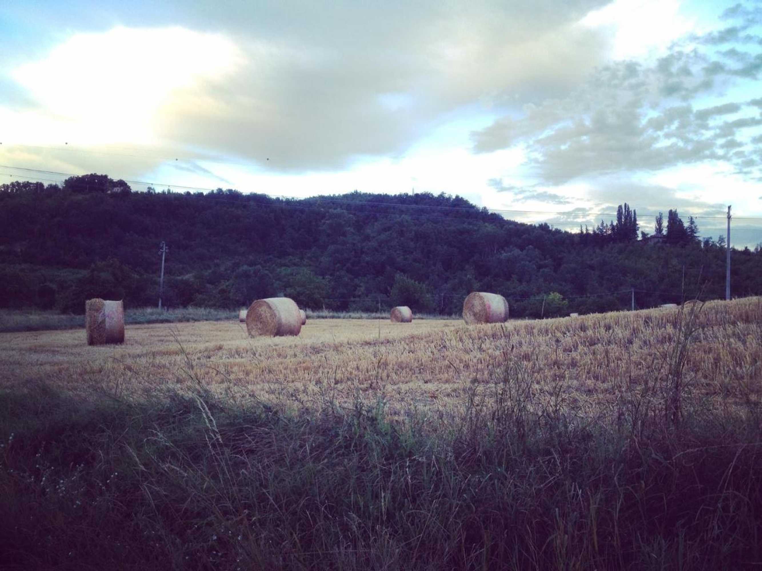 Gift card for B&b Agriturismo Casa Vallona