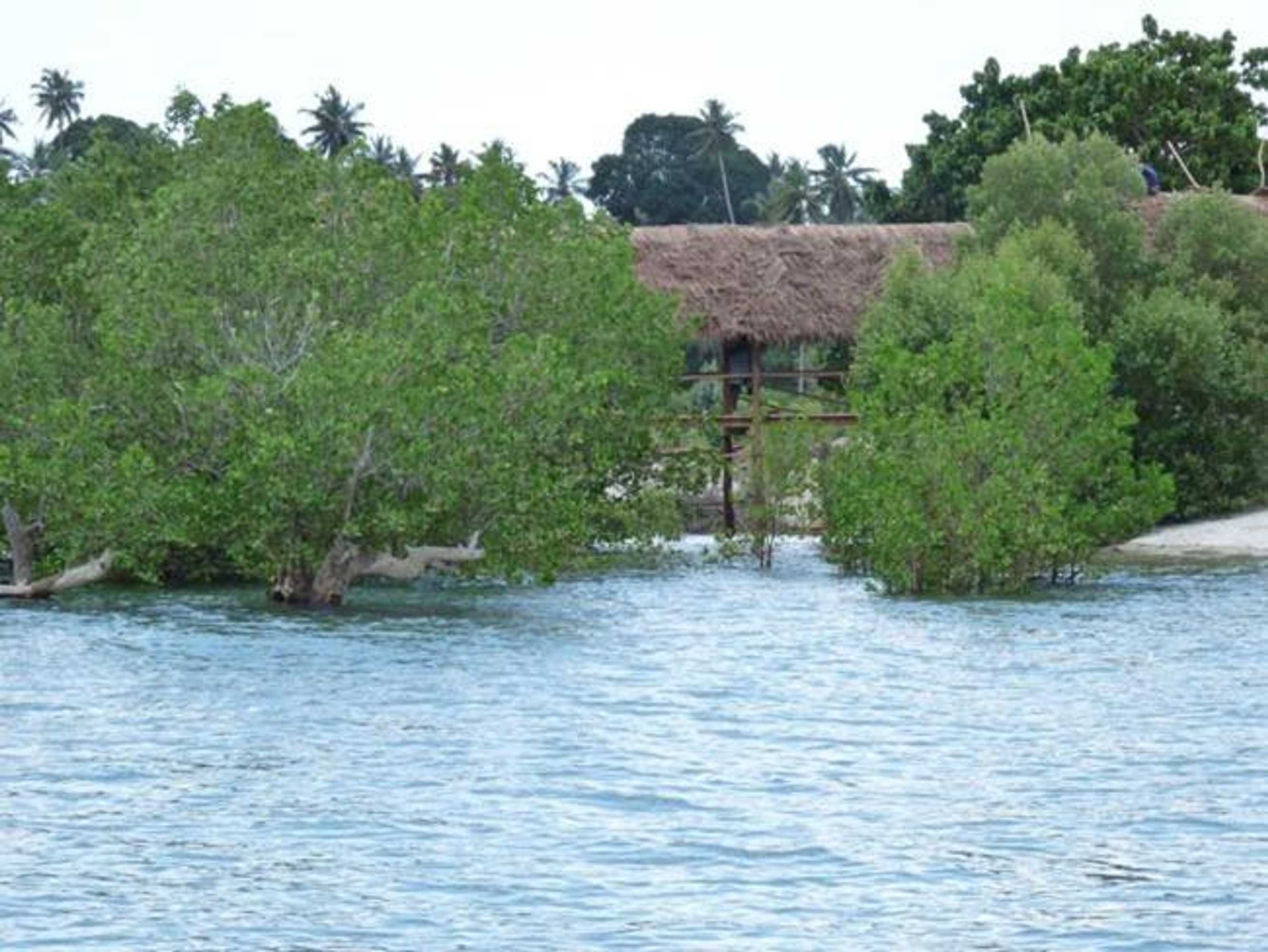 Gift card for Pemba Misali Sunset Beach Gift card for Pemba Misali Sunset Beach