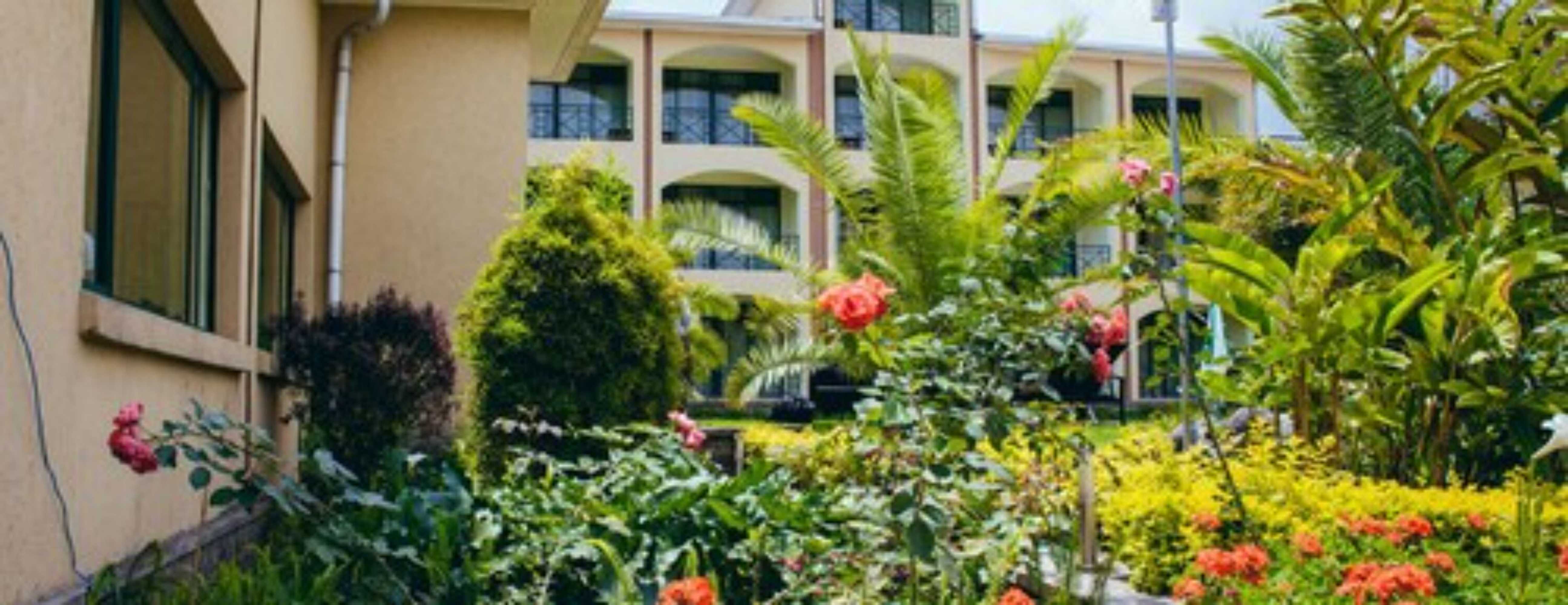 Gift card for Gorillas Volcanoes Hotel Gift card for Gorillas Volcanoes Hotel