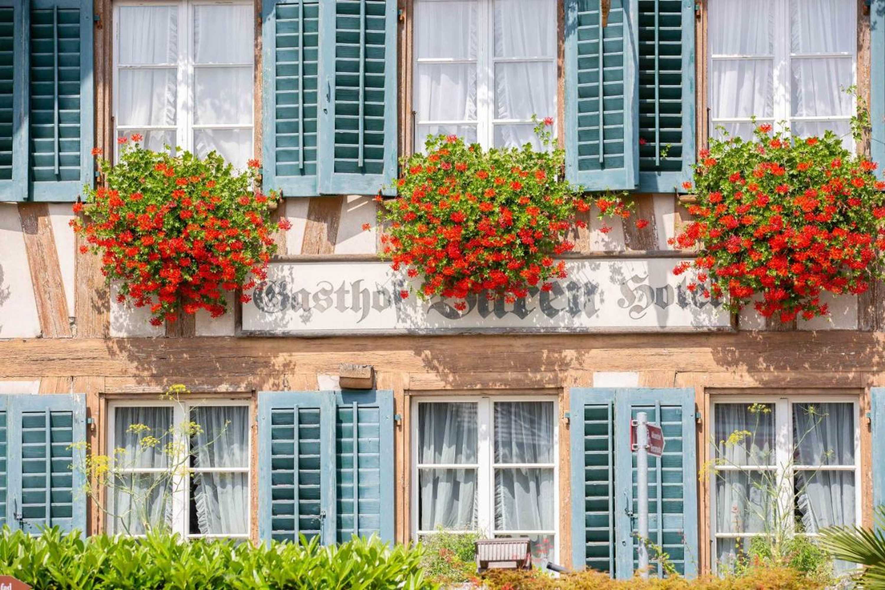 Gift card for Landgasthof Bären