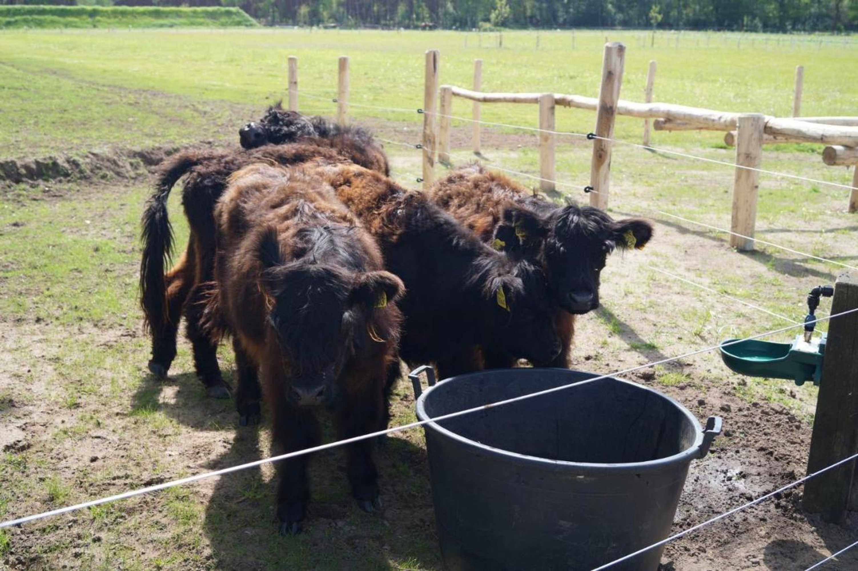 Gift card for Eersel's Groen