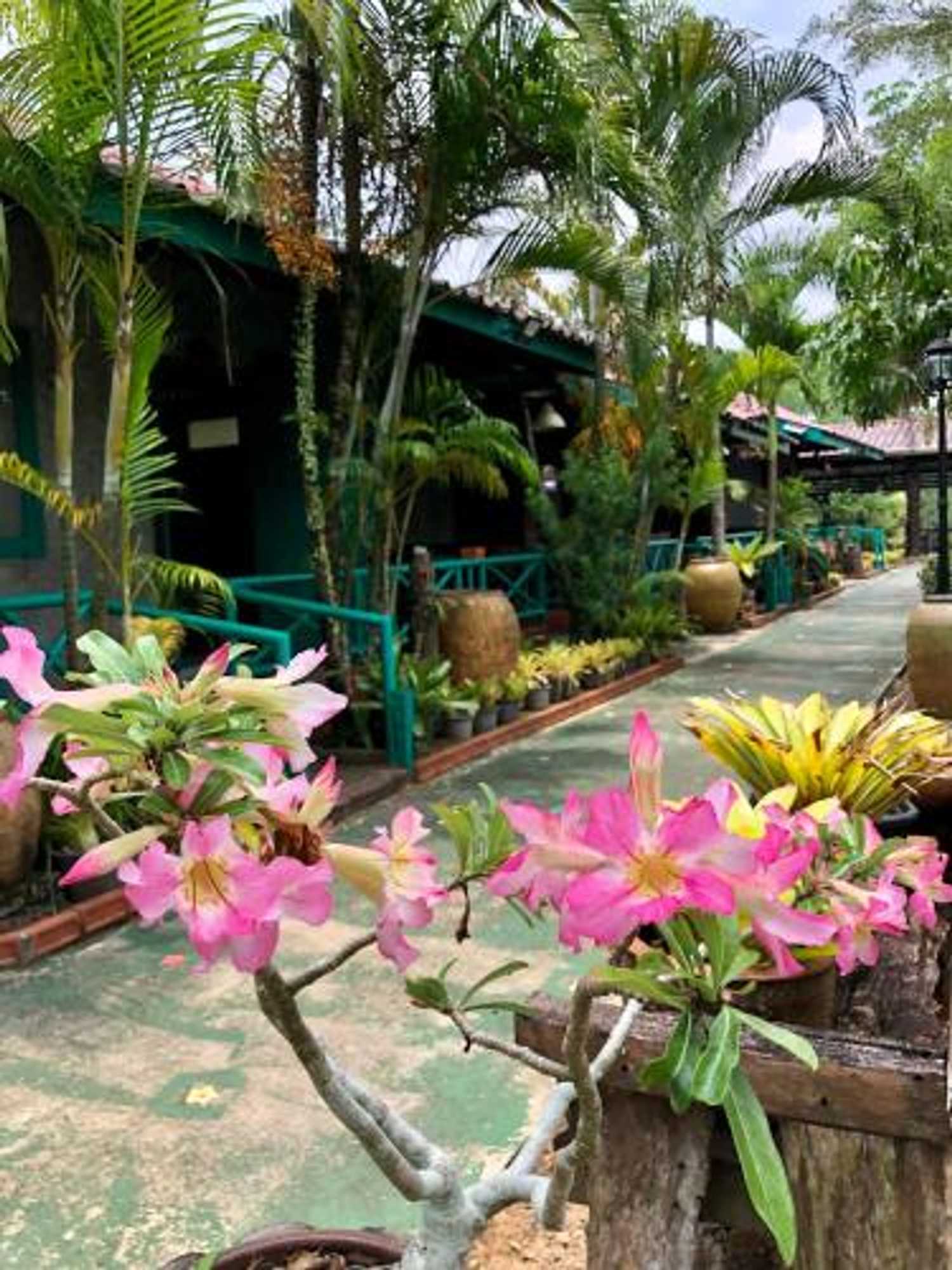 Gift card for Pop Riverside Trat Gift card for Pop Riverside Trat