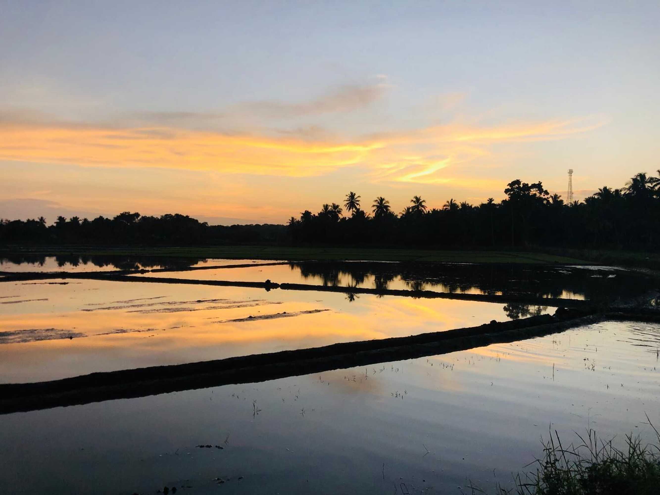 Gift card for Rice Field View Home Stay Gift card for Rice Field View Home Stay