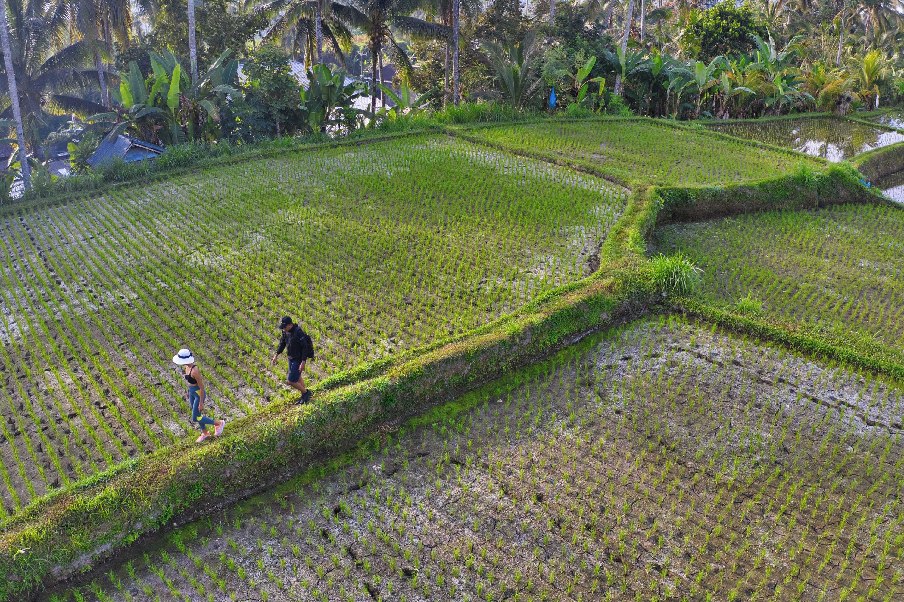 Gift card for Nandini Jungle by Hanging Gardens