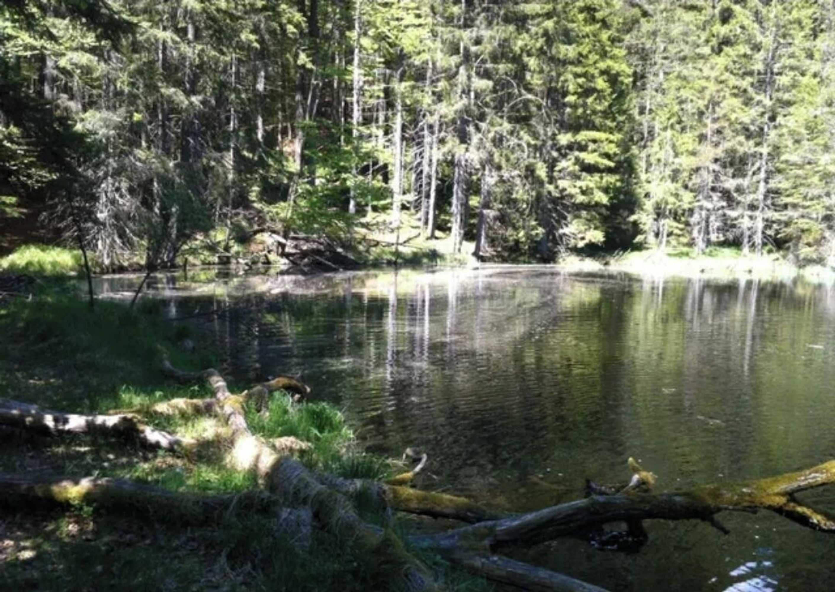 Gift card for Schachten