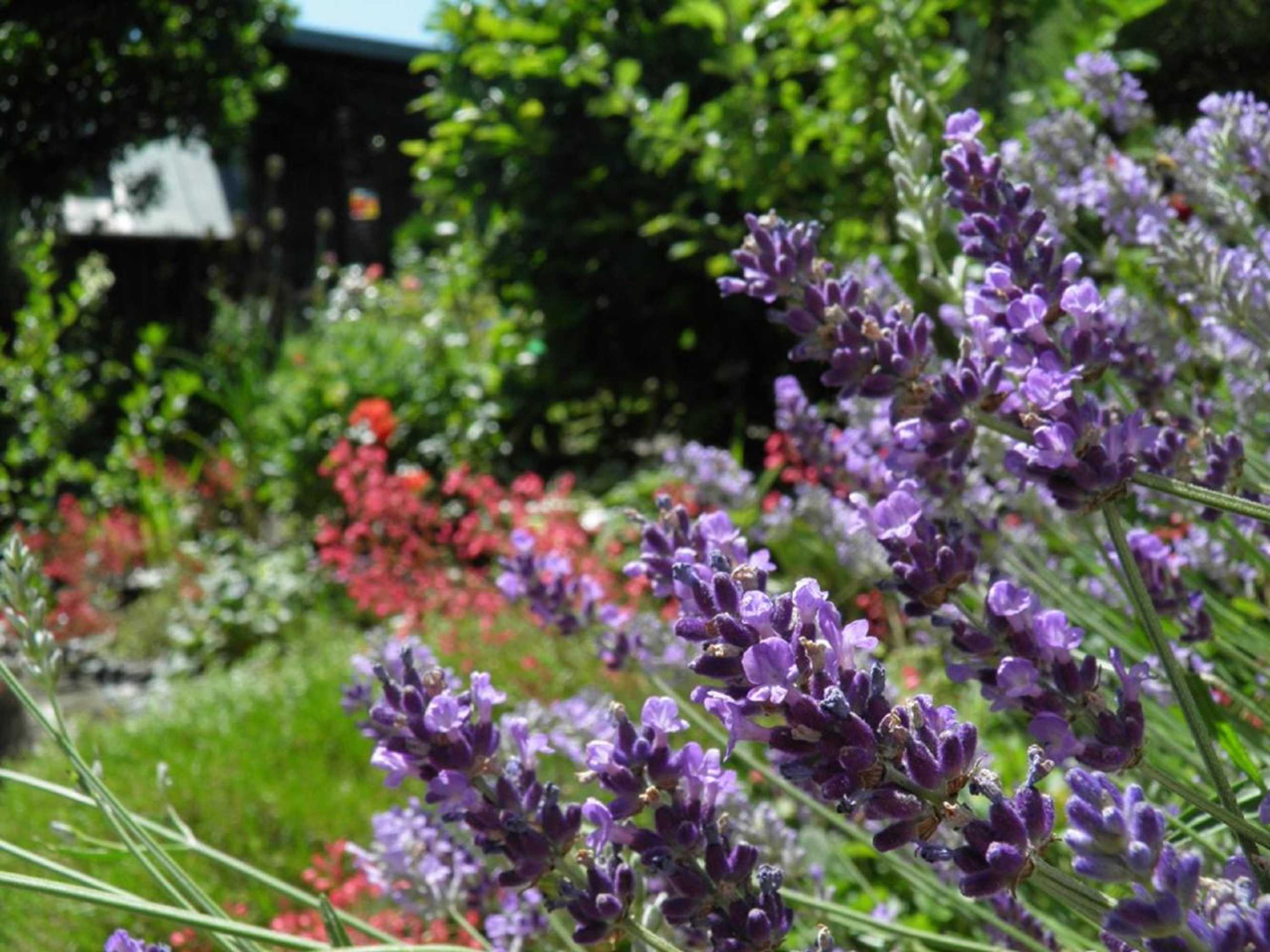 Gift card for Bed And Breakfast  Brandholz