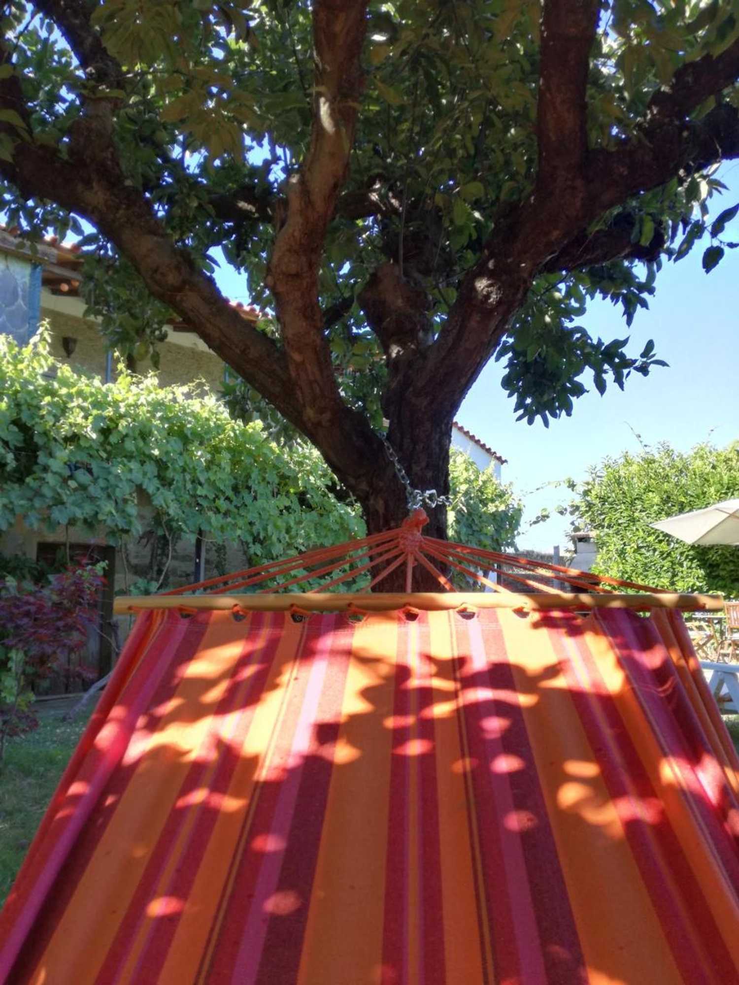 Gift card for O Zé Já Dormiu Aqui