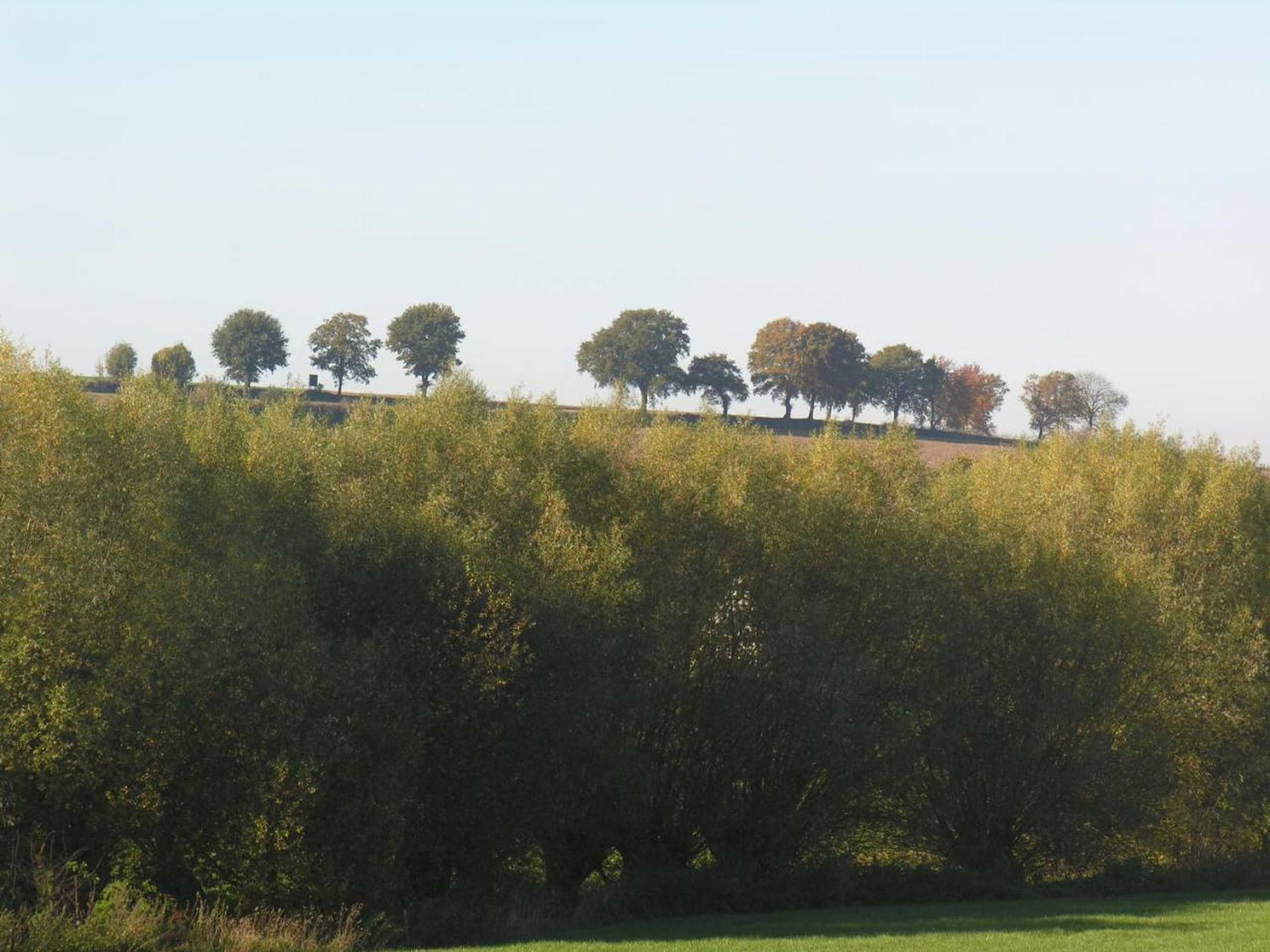 Gift card for B&b Bij Tante Toos