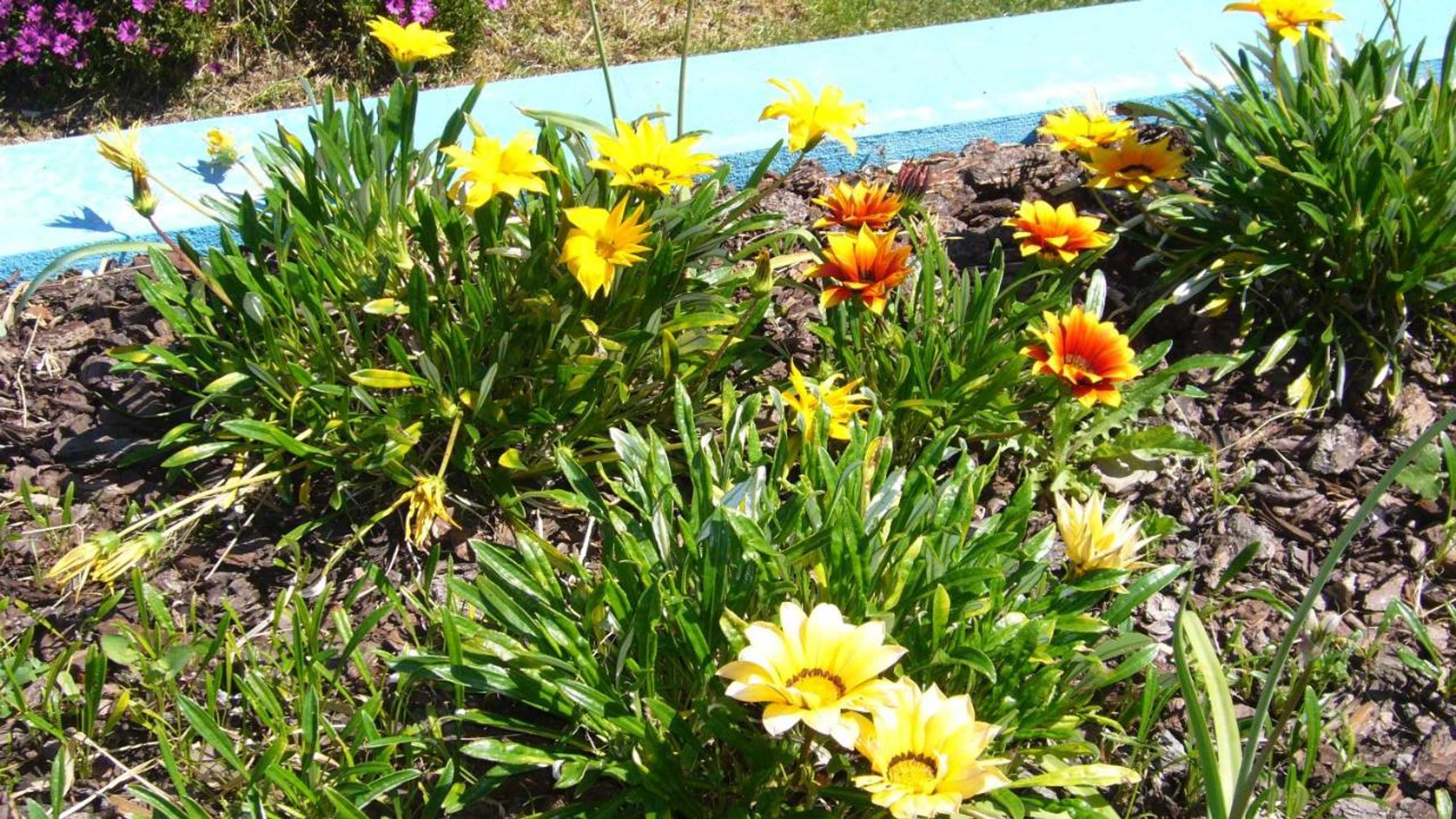 Gift card for Casa Vila Palmeira