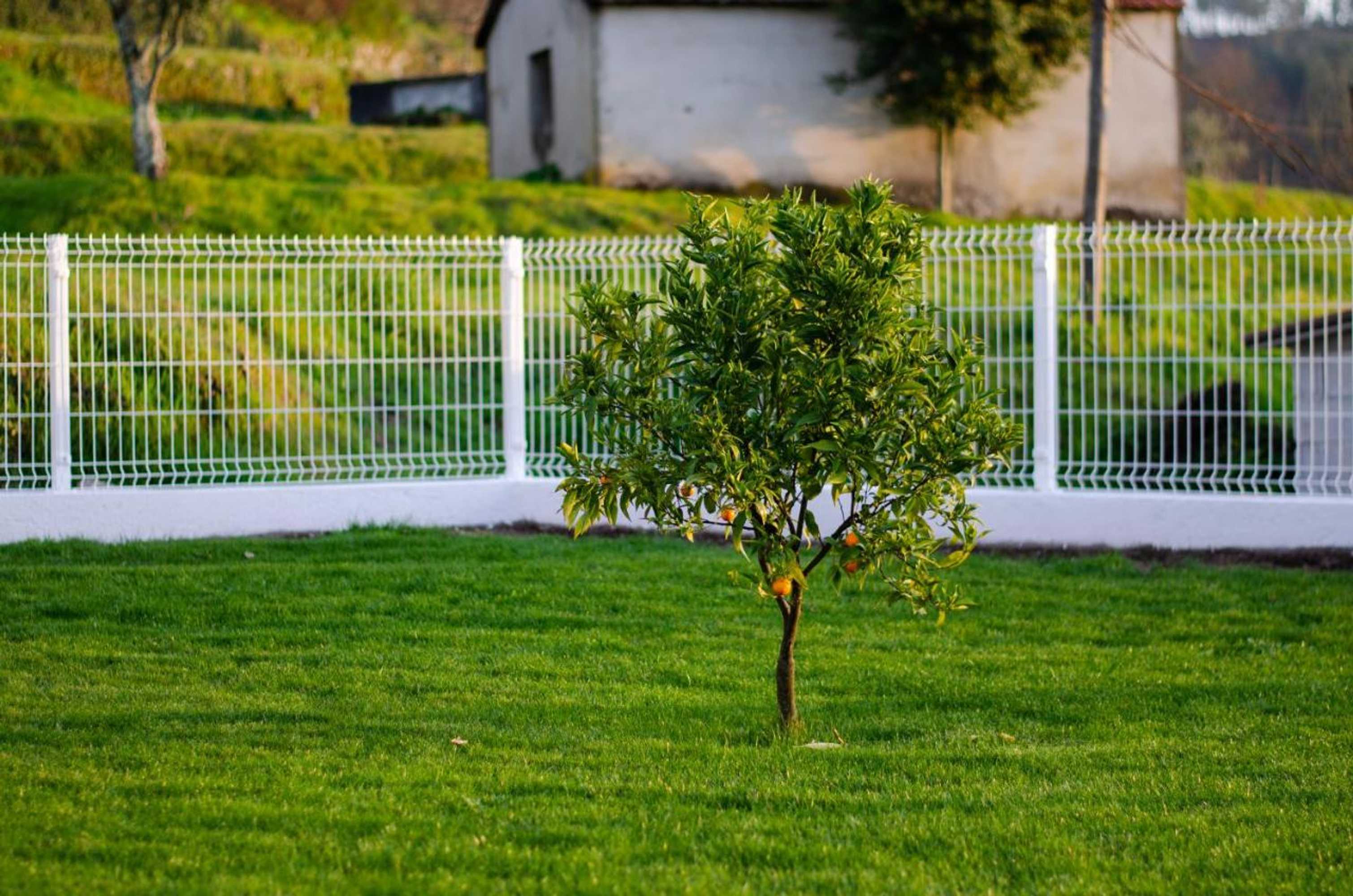 Gift card for Casa Leite