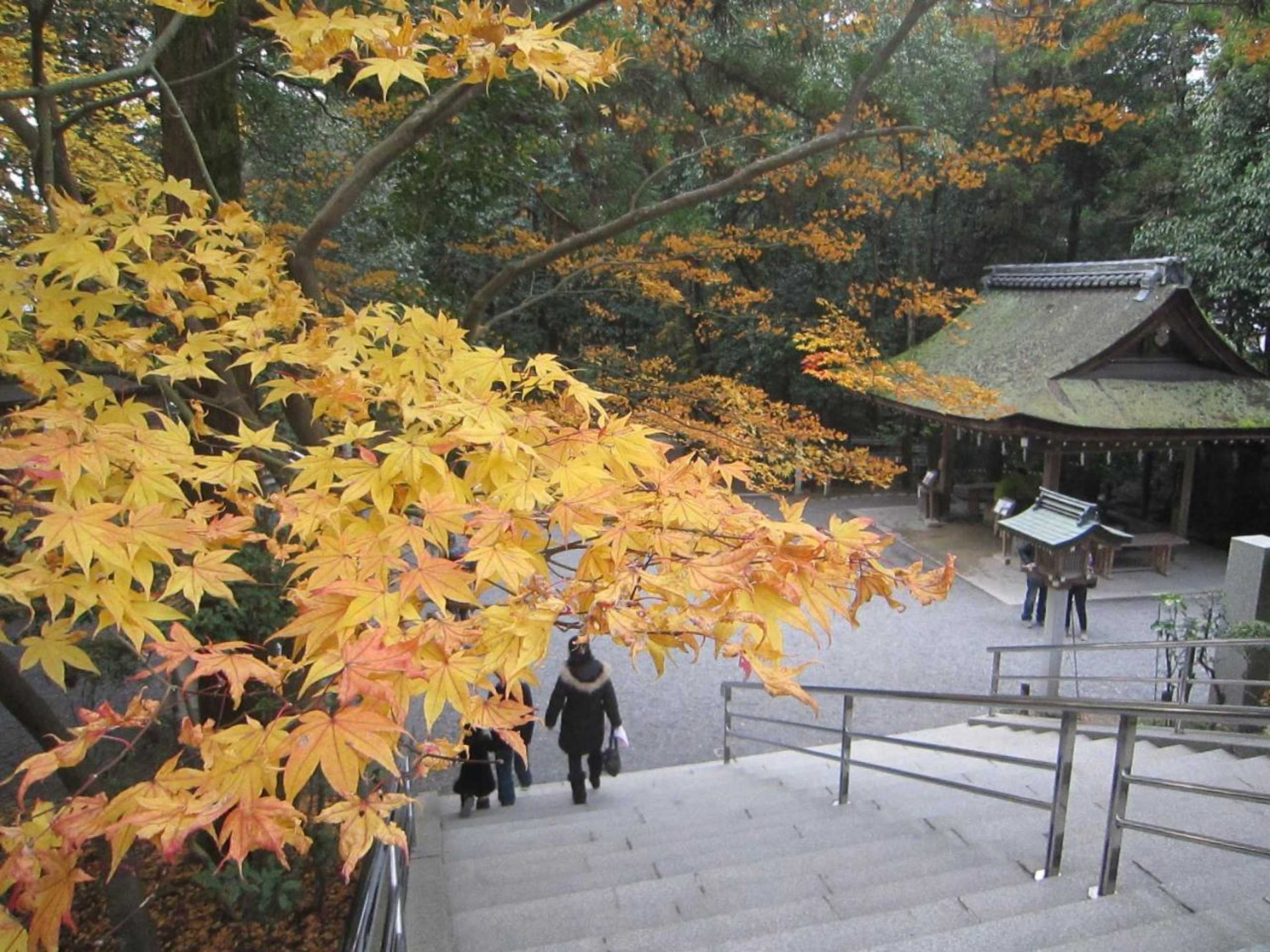 Gift card for Ryokan Taishoro