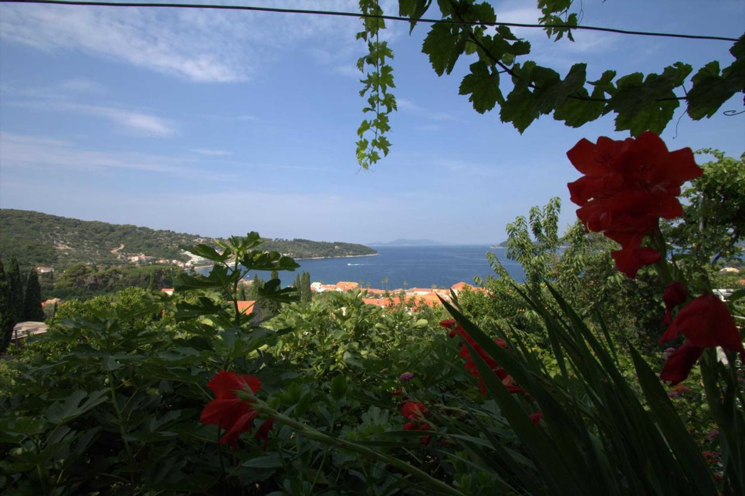 Gift card for Apartments Cervelin