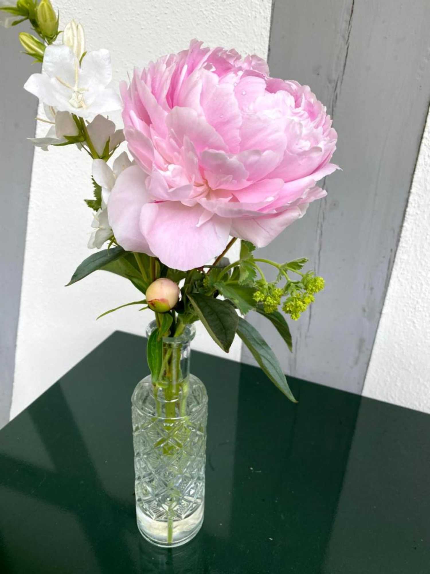 Gift card for B&b Tannen124