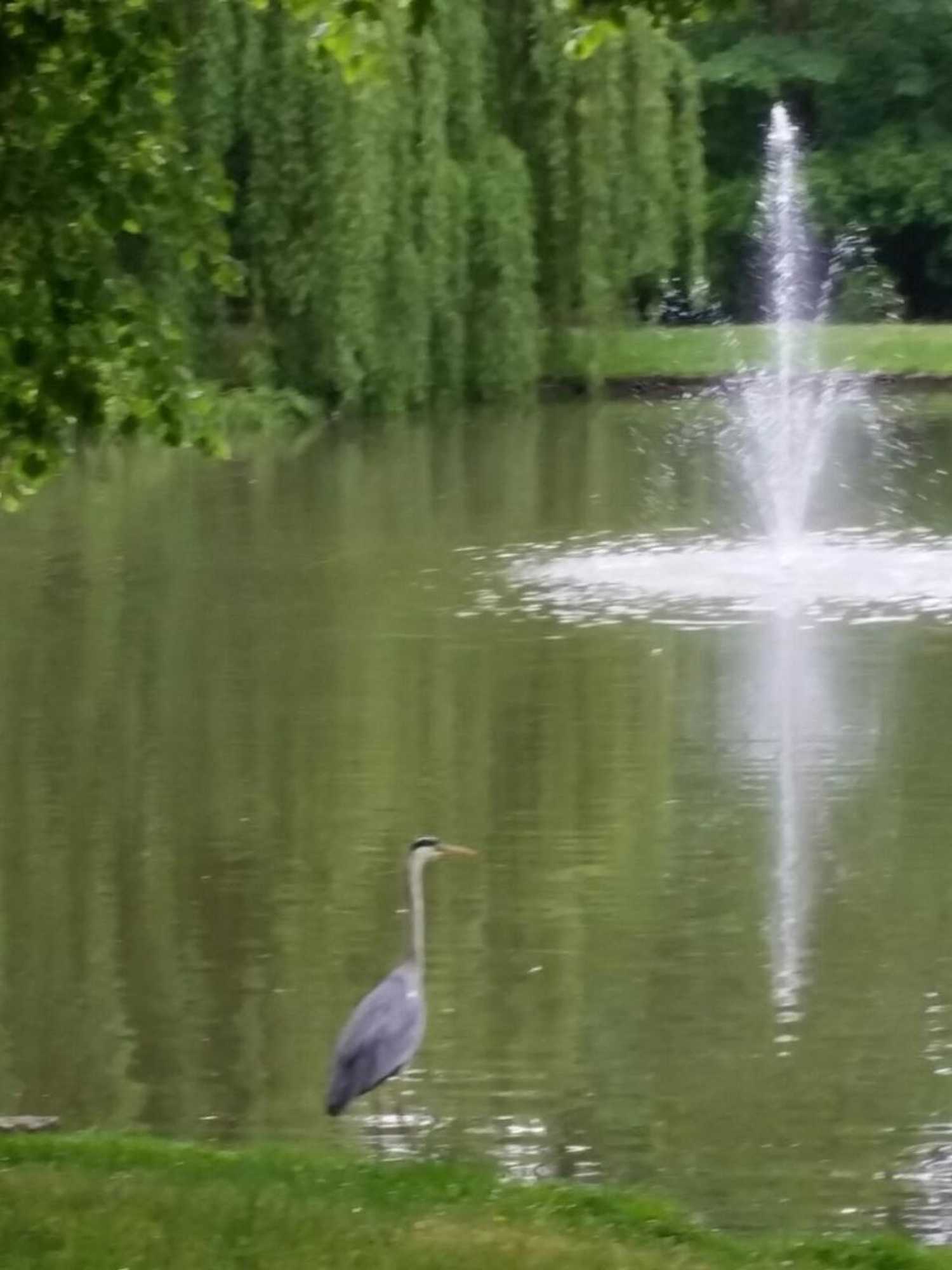 Gift card for Traumparadies