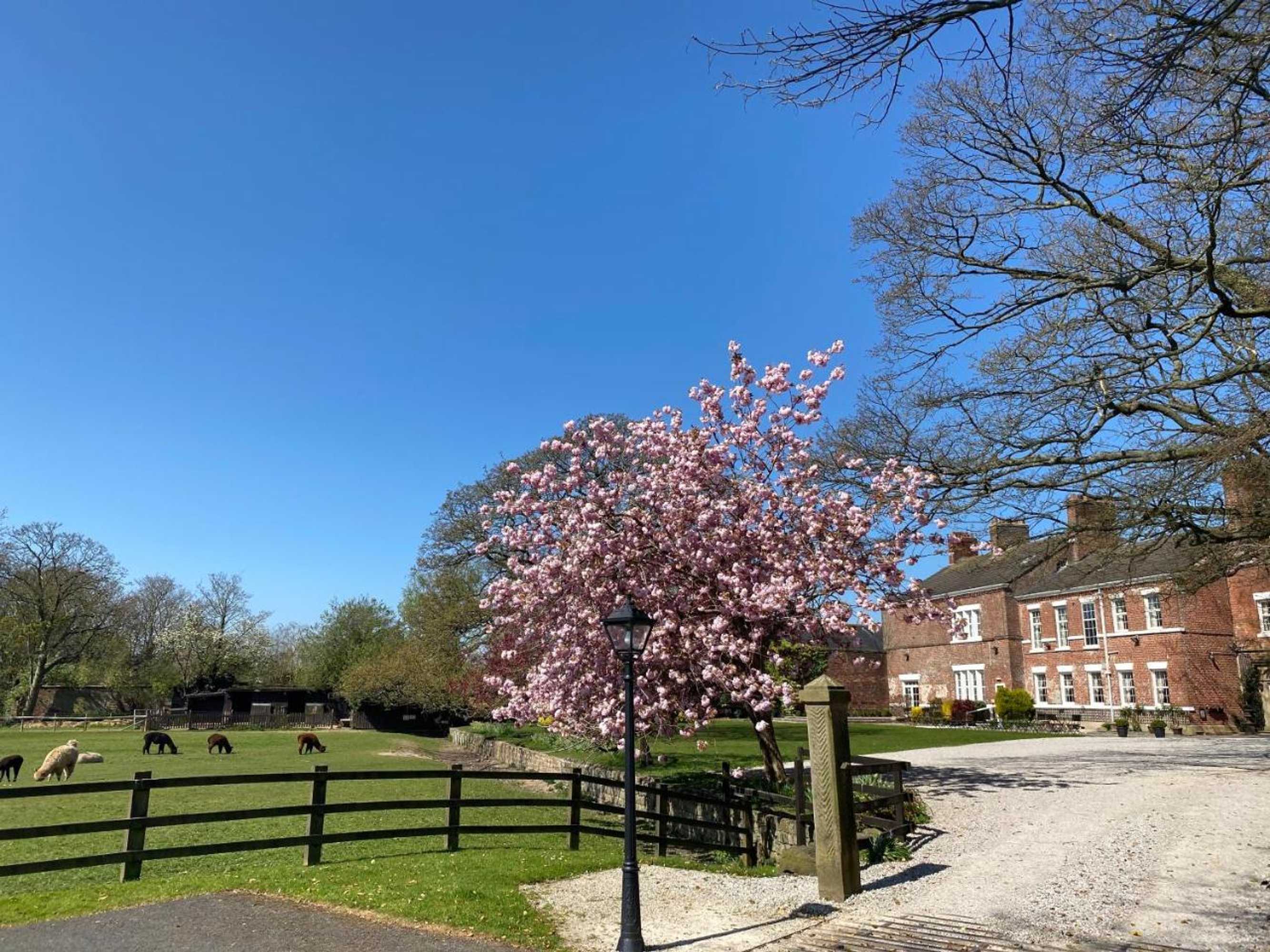 Gift card for Singleton Lodge Country House Hotel