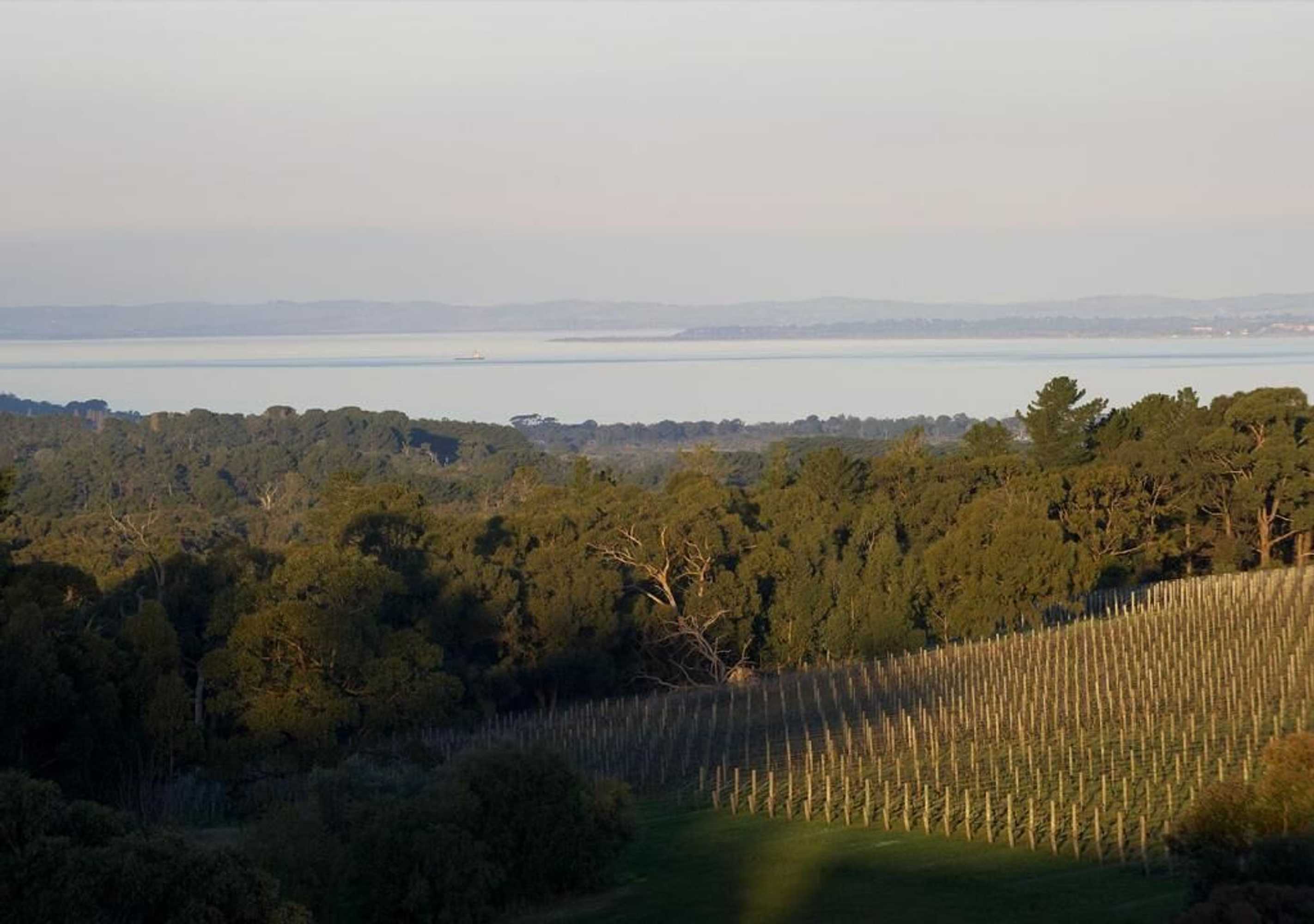 Gift card for Port Phillip Estate Gift card for Port Phillip Estate