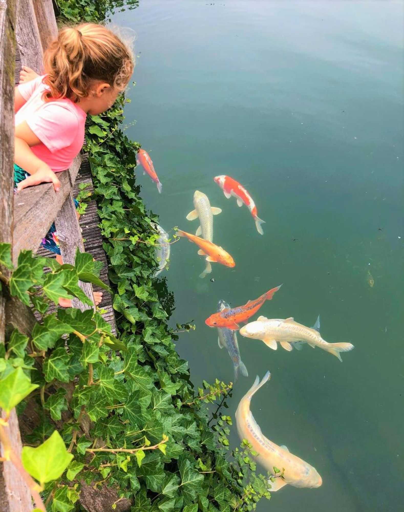 Gift card for Het Hilkensberg Park