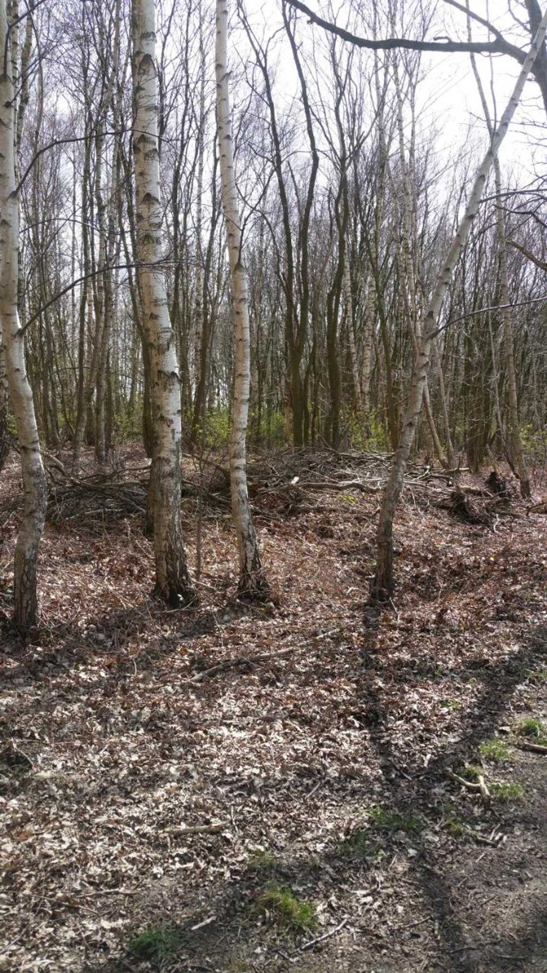 Gift card for B&b Perron 22