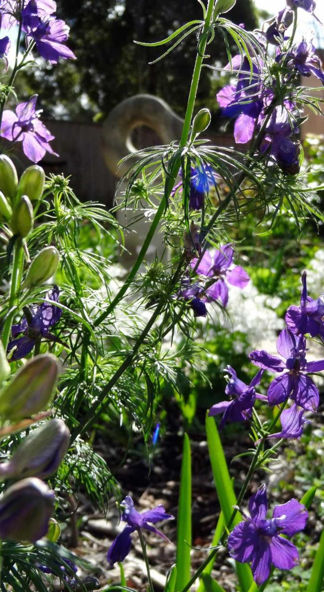 Gift card for The Gallery Accommodation Mccrae Gift card for The Gallery Accommodation Mccrae