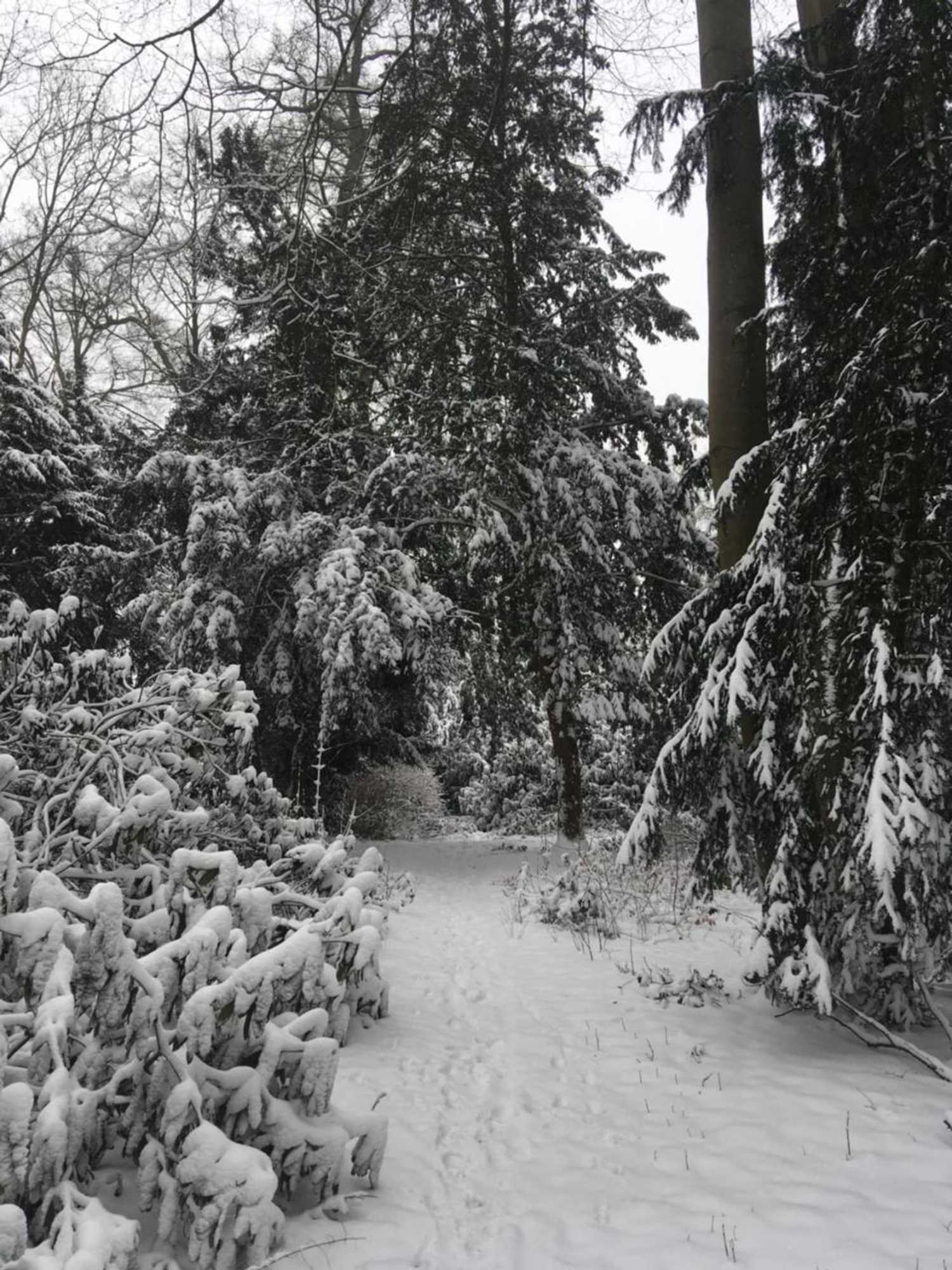 Gift card for Voel je Thuis