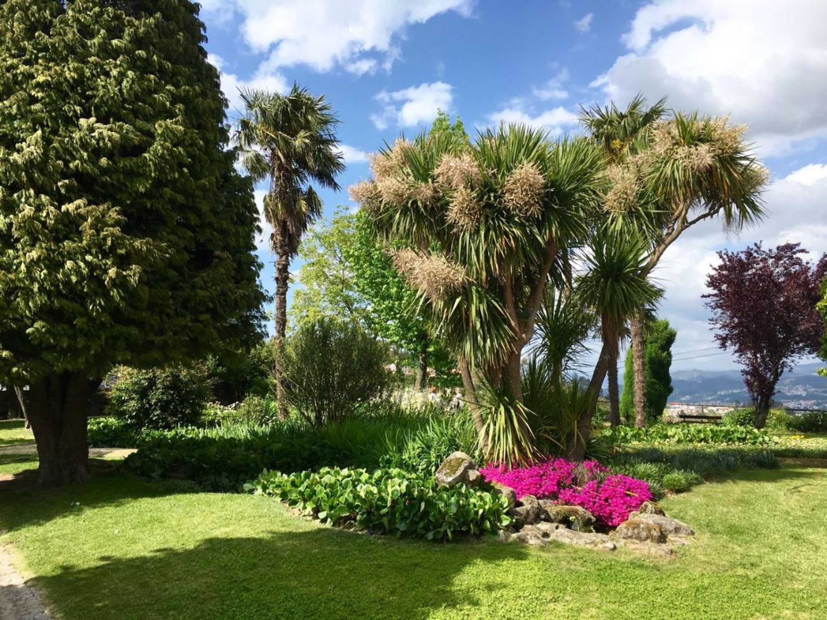 Gift card for Alto Belo