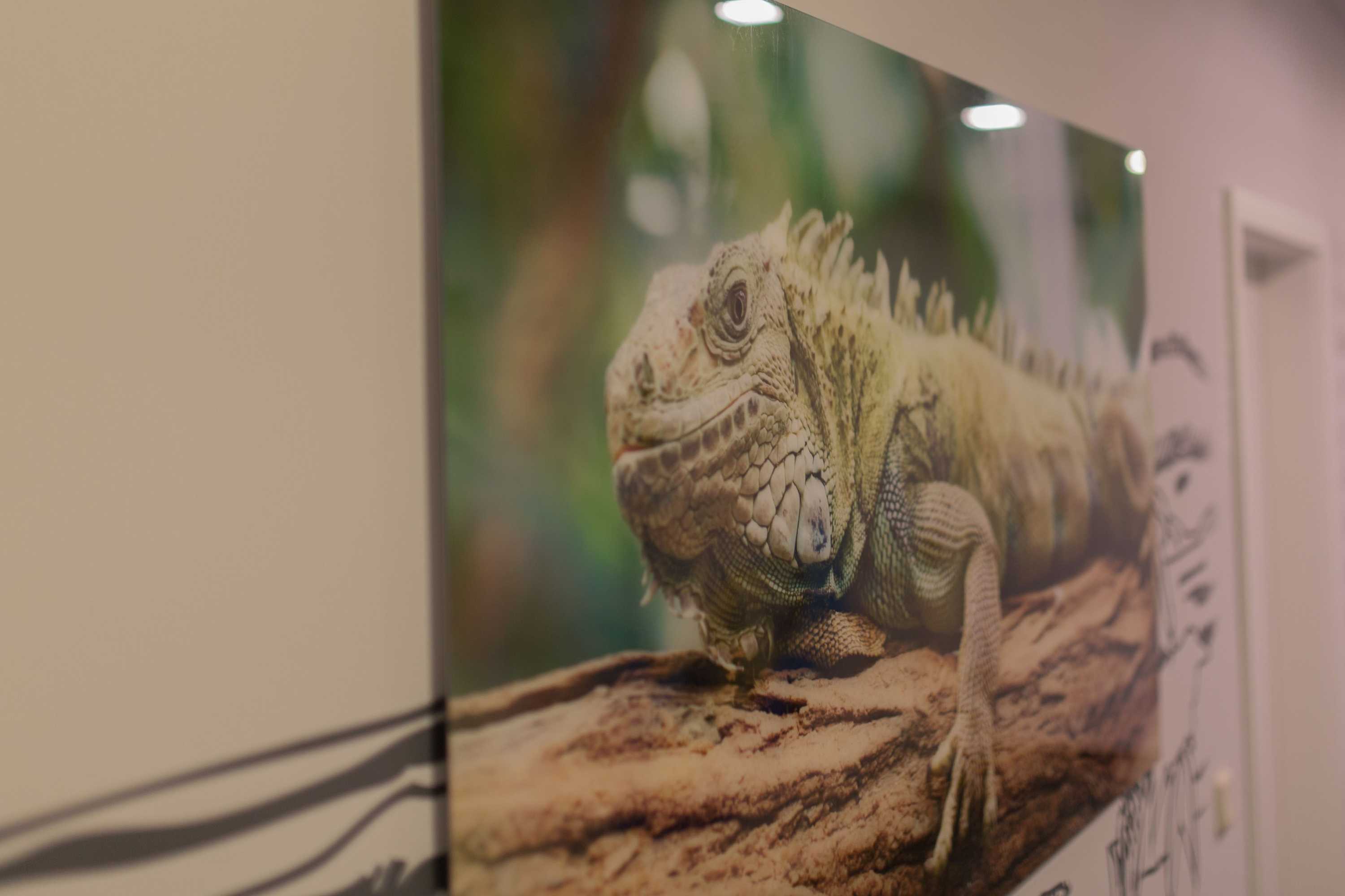 Gift card for Hotel Weitblick