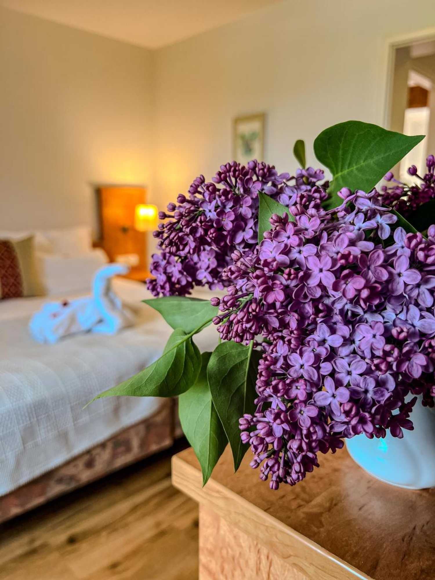 Gift card for Insel-Hof Reichenau Hotel-Garni