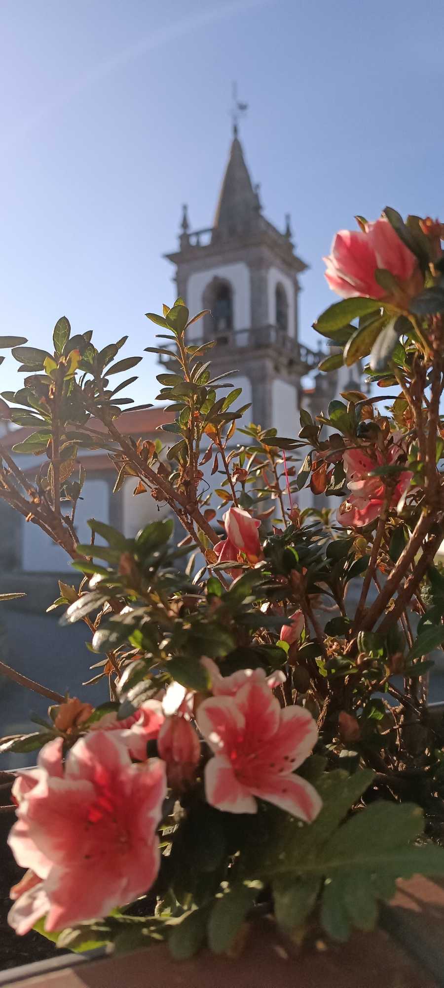 Gift card for Donna Nega Guest House