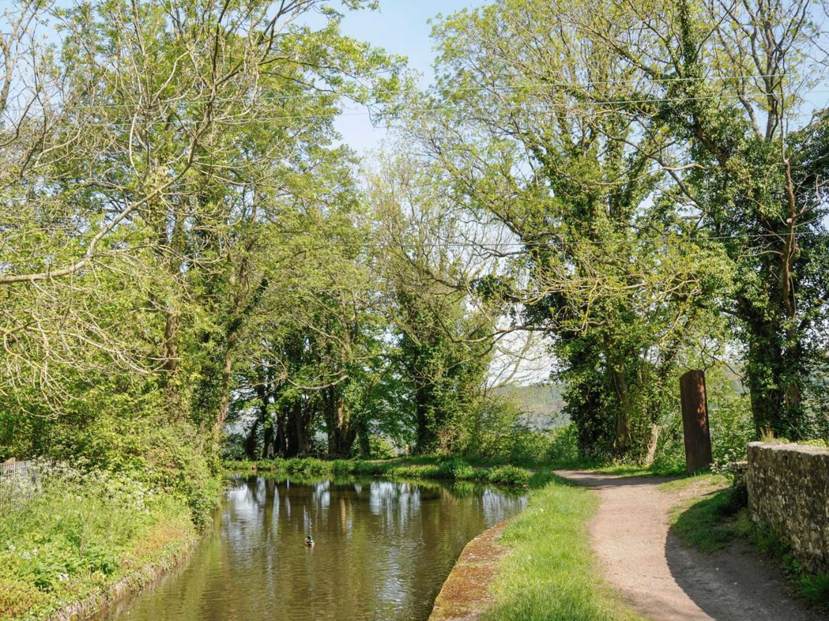 Gift card for Black Cat Bach