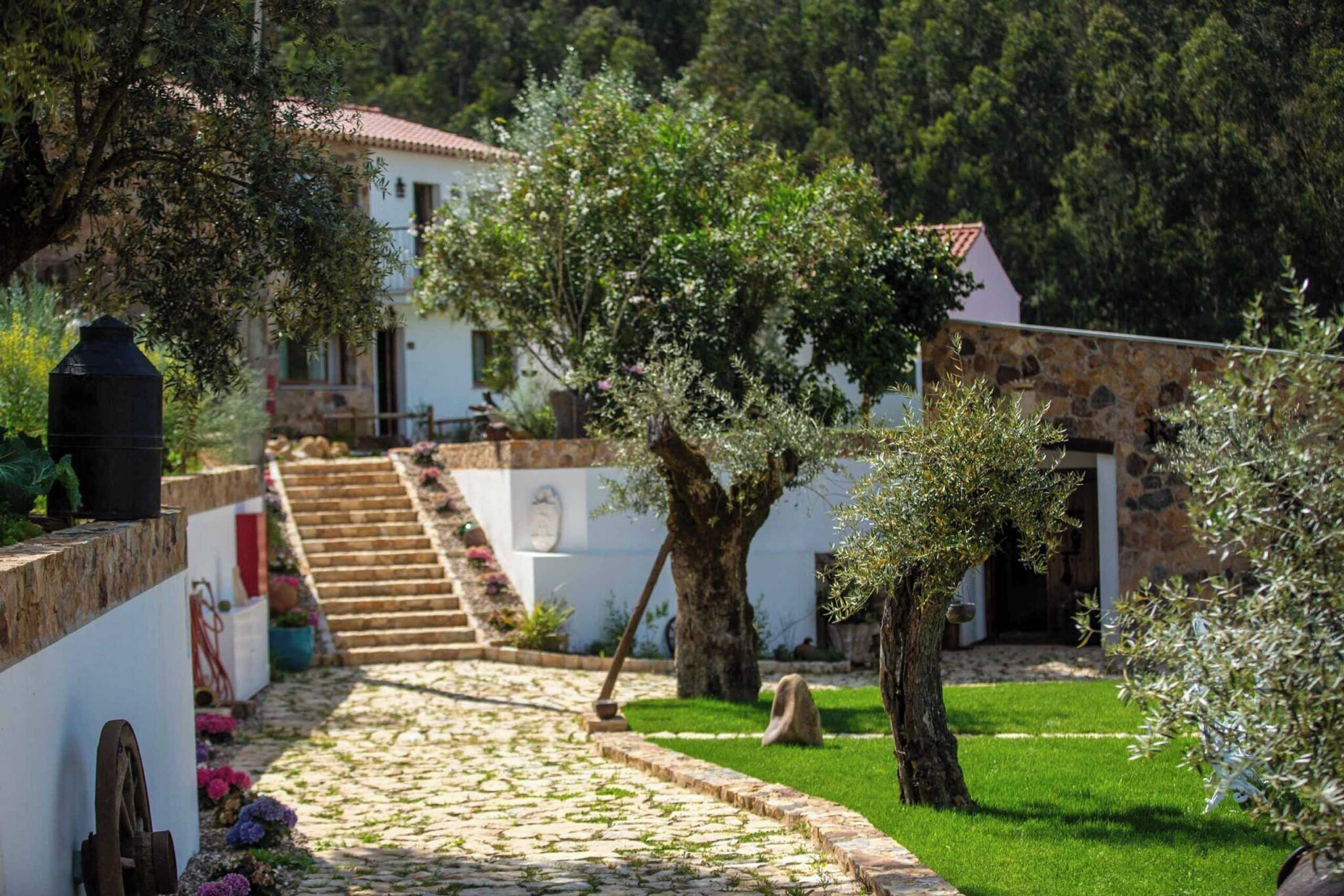 Gift card for Reinado de Dom Dinis