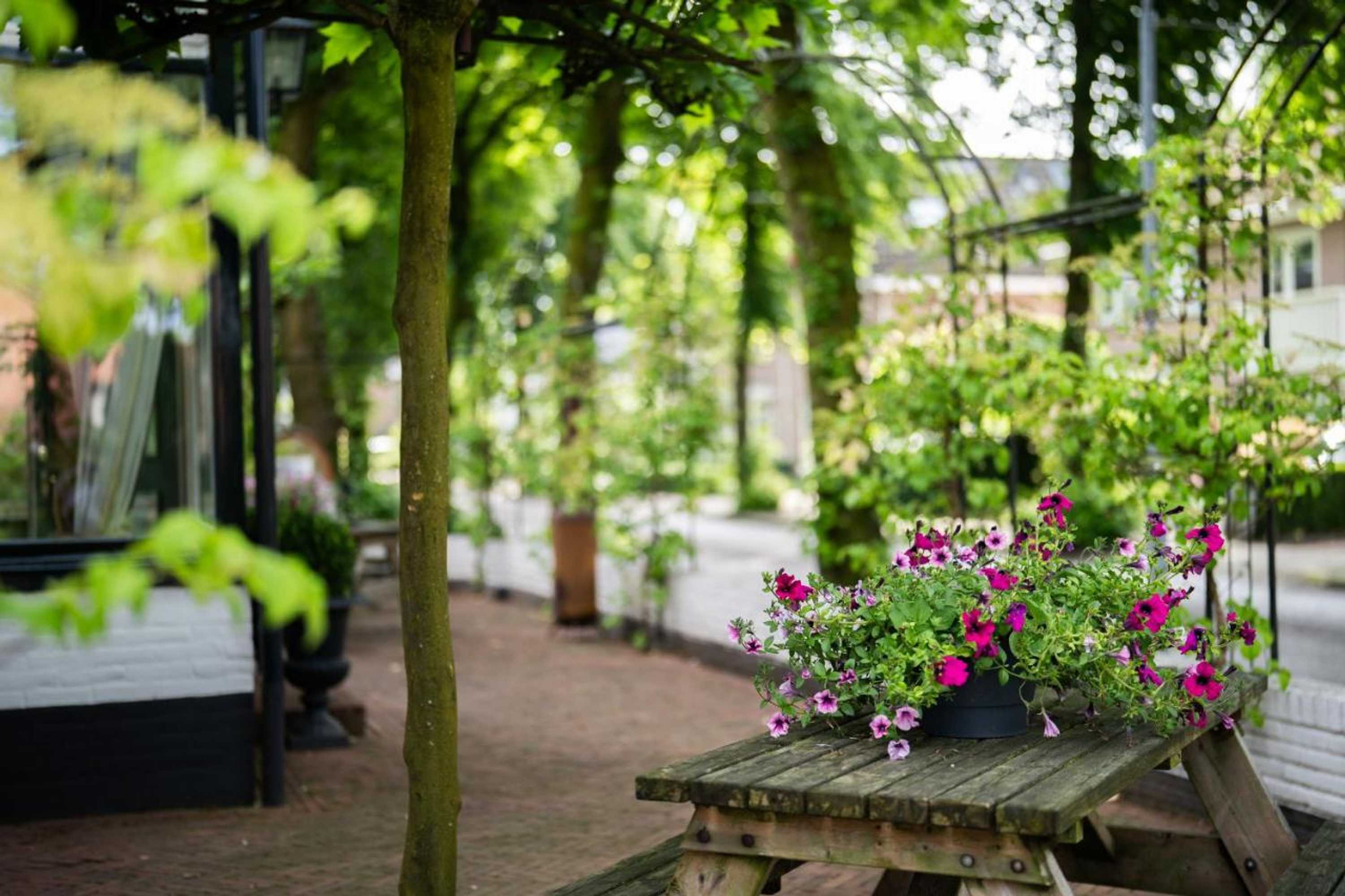 Gift card for 't Witte Hoes