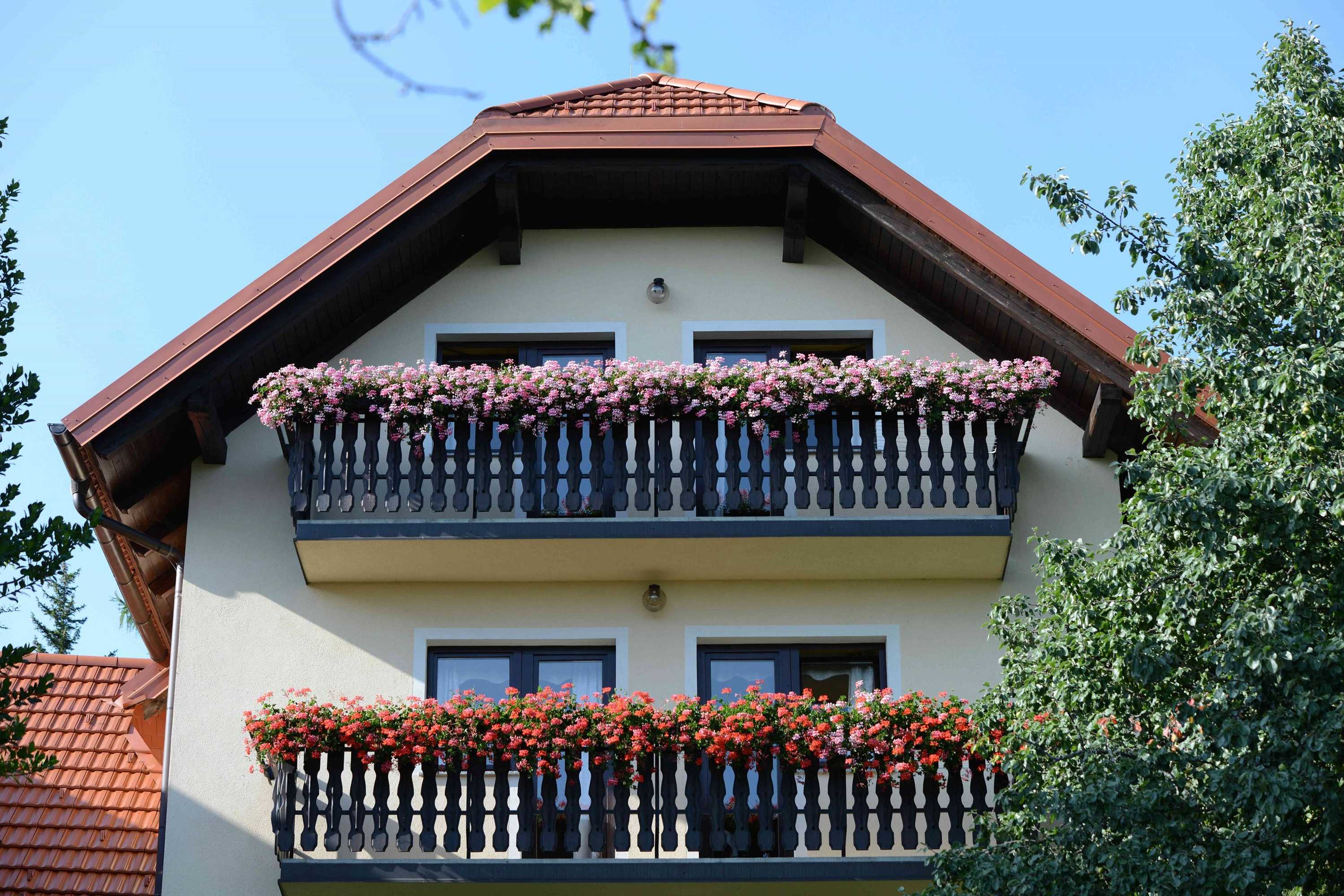Gift card for Guest House Koprivnik Gift card for Guest House Koprivnik