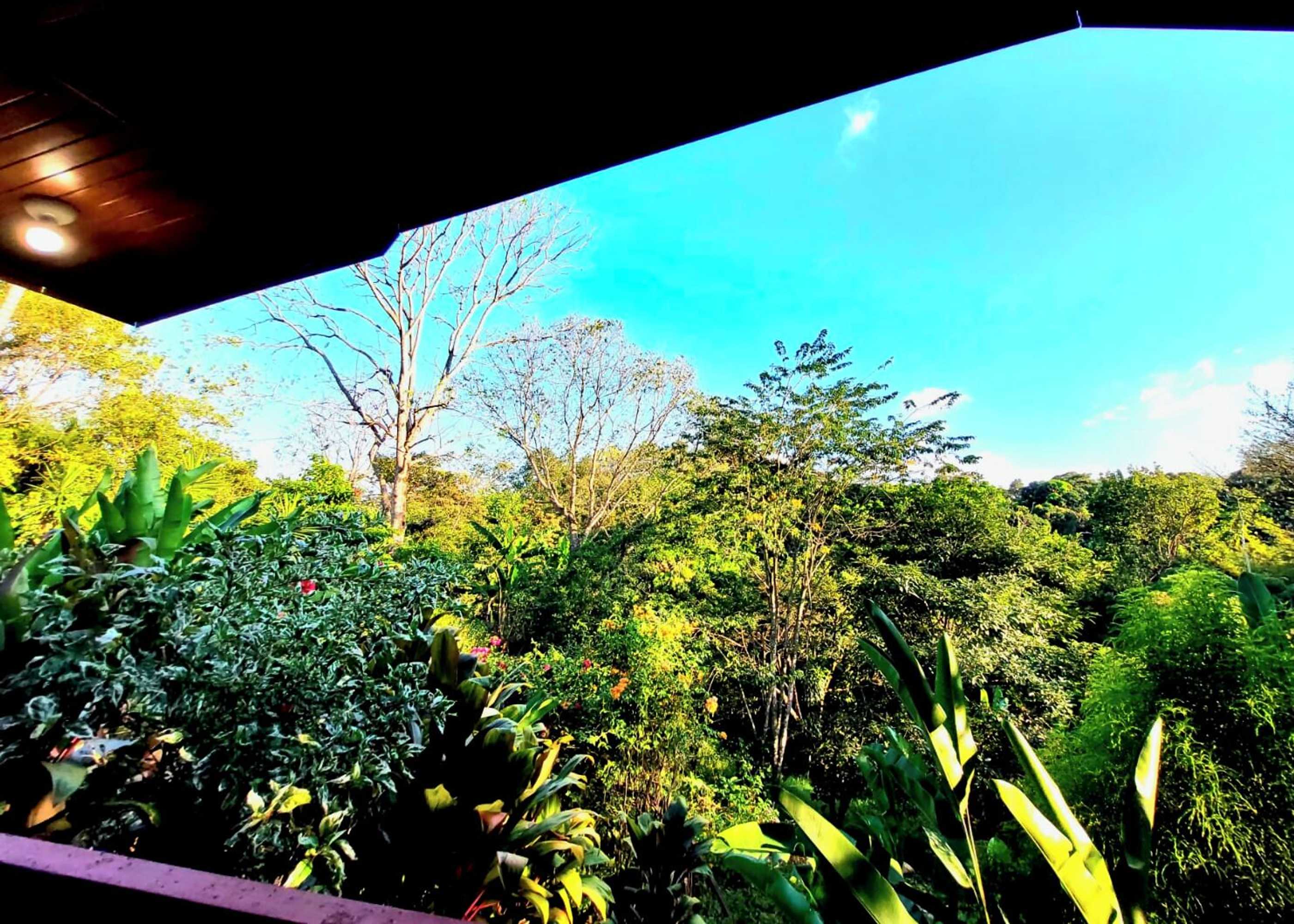 Gift card for Eden Atenas