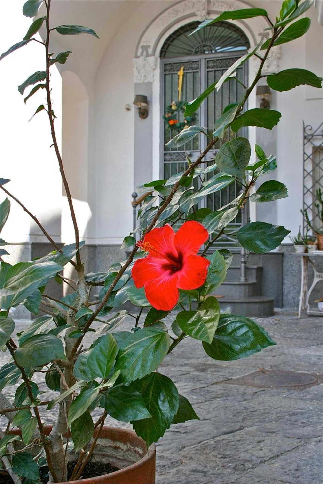Gift card for B&b La Corte