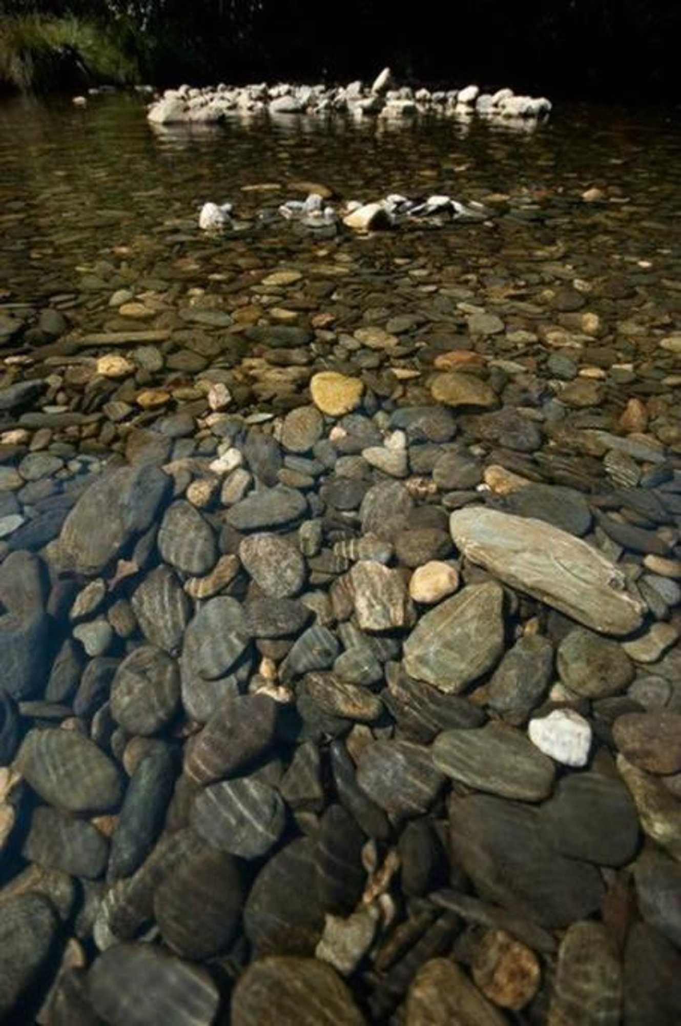 Gift card for Casa do Rio